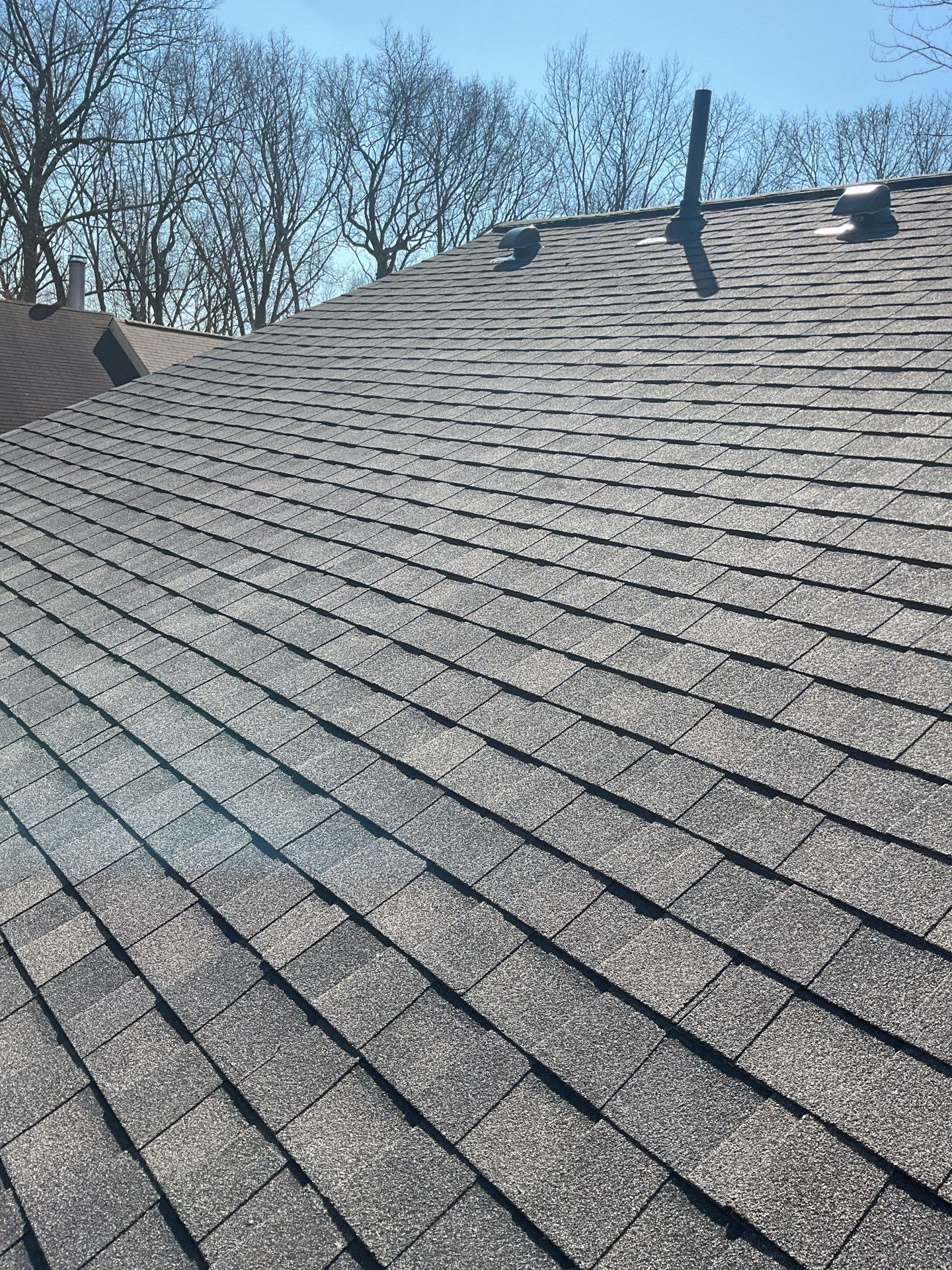 Burke CertainTeed Landmark Pro Roof in Max Def Espresso by RM Banning, Inc.