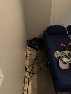 Mold Remediation — Fort Myers, FL