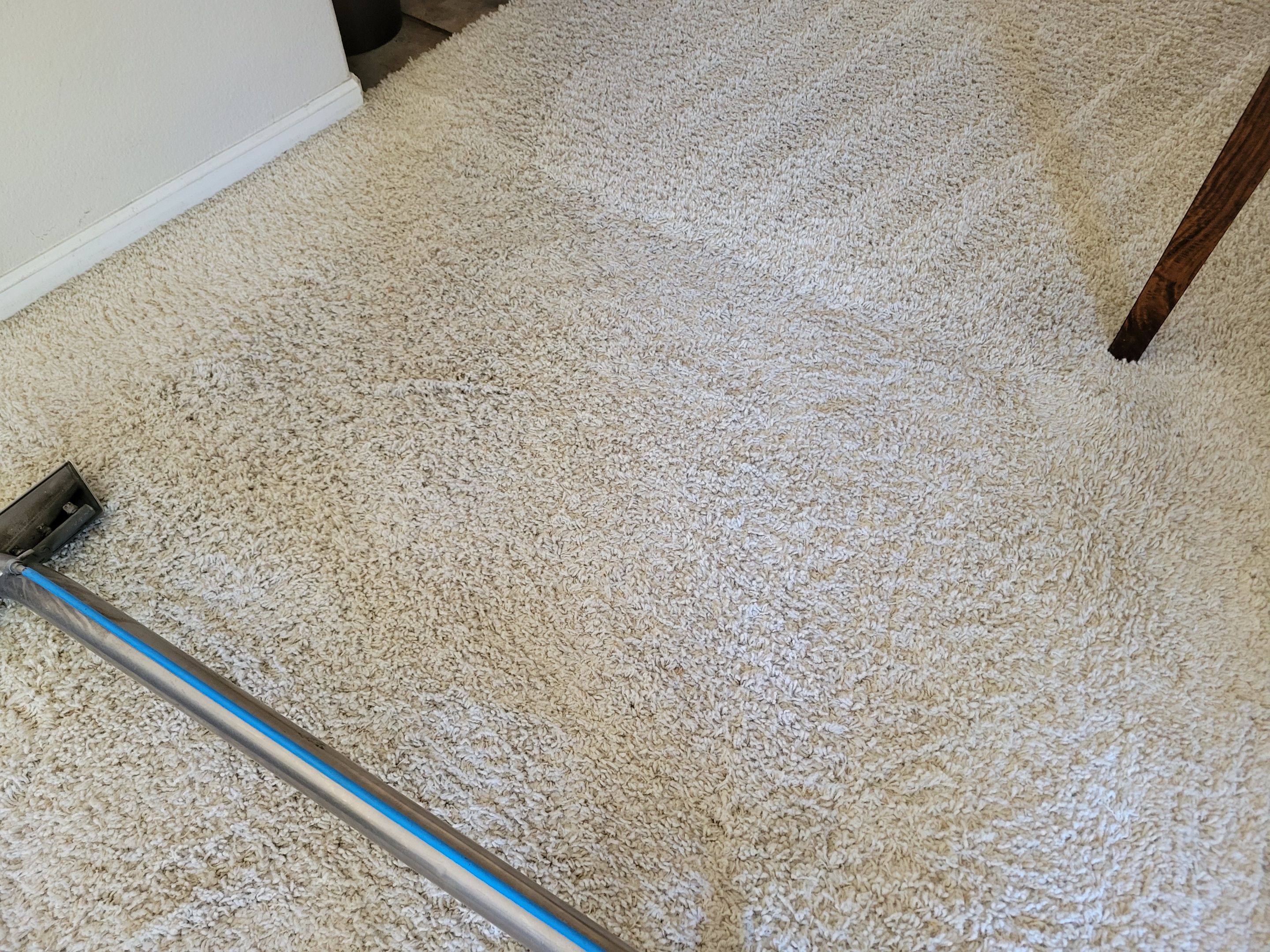 Carpet Cleaning with CRB in High-Traffic by Ardent Carpet Restore LLC