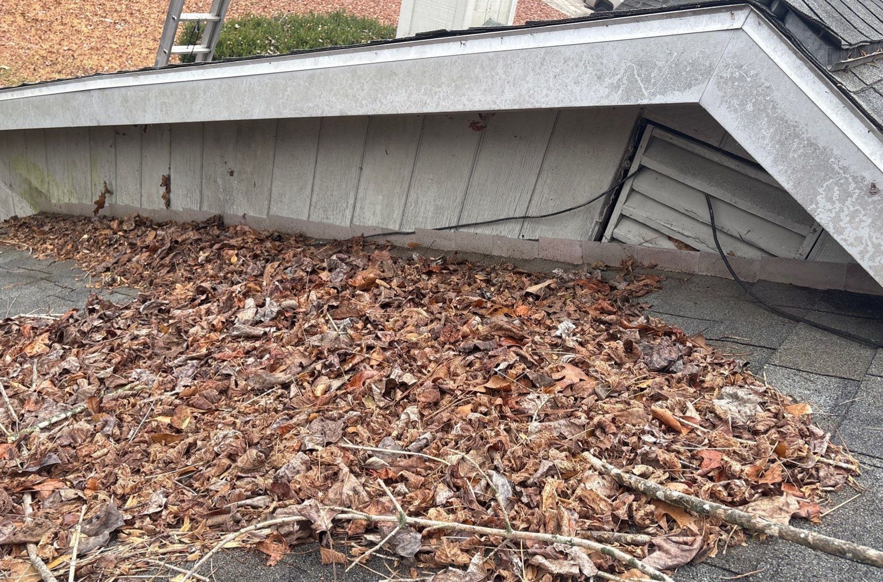 Clean Roof, Strong Home 🍂 by Georgia Roof Advisors