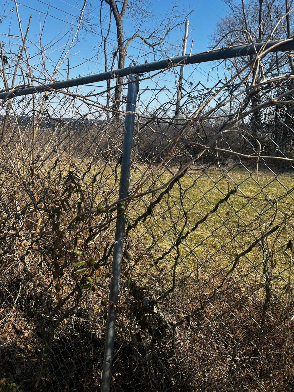 Chain Link Fence Repair and Custom Gate Installation – East St. Louis, IL by Legendary Services Company LLC.