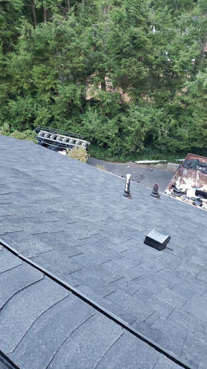 Alexandria Roof Project - CertainTeed Landmark Pro Max Def Charcoal Black Shingles by RM Banning, Inc.
