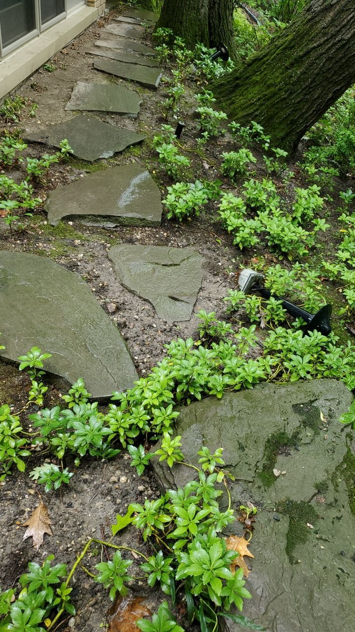 Bluestone patio cleaning by Northern Power Washing LLC.