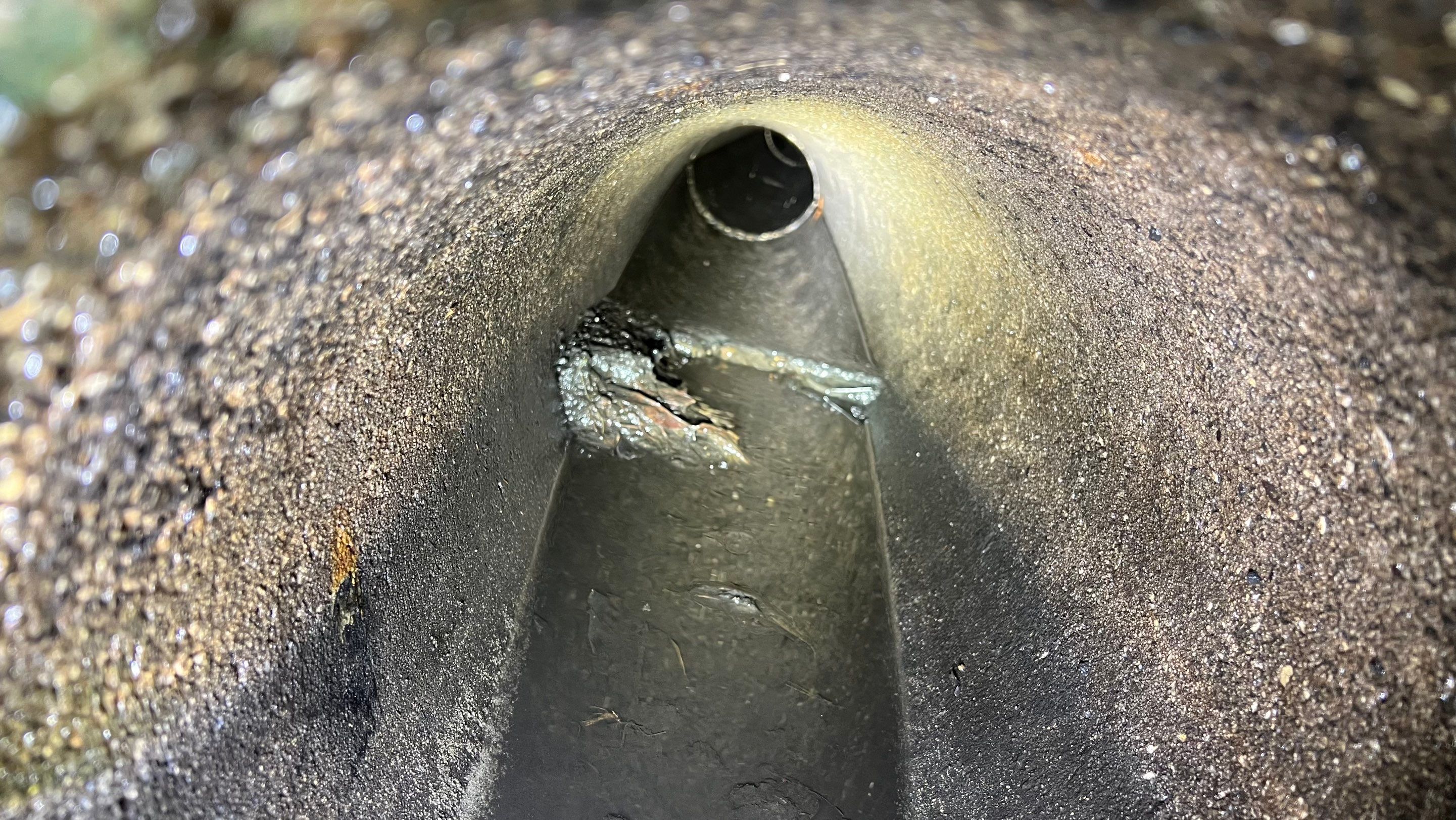 Stromwater System Maintenance at Bill Smith Appliances / Critter Cafe Marco Island Catch Basin by Don Mar, Inc. Storm Water Solutions