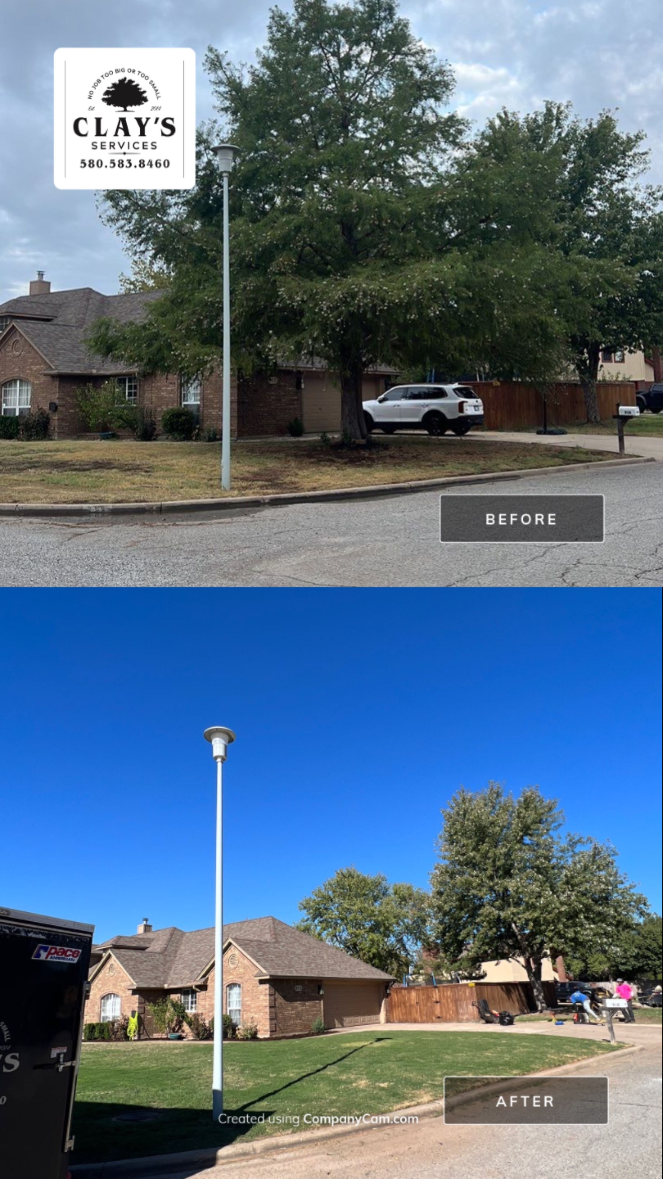 Tree removal , Concrete, Pergola, and sod install  by Clays Services Inc