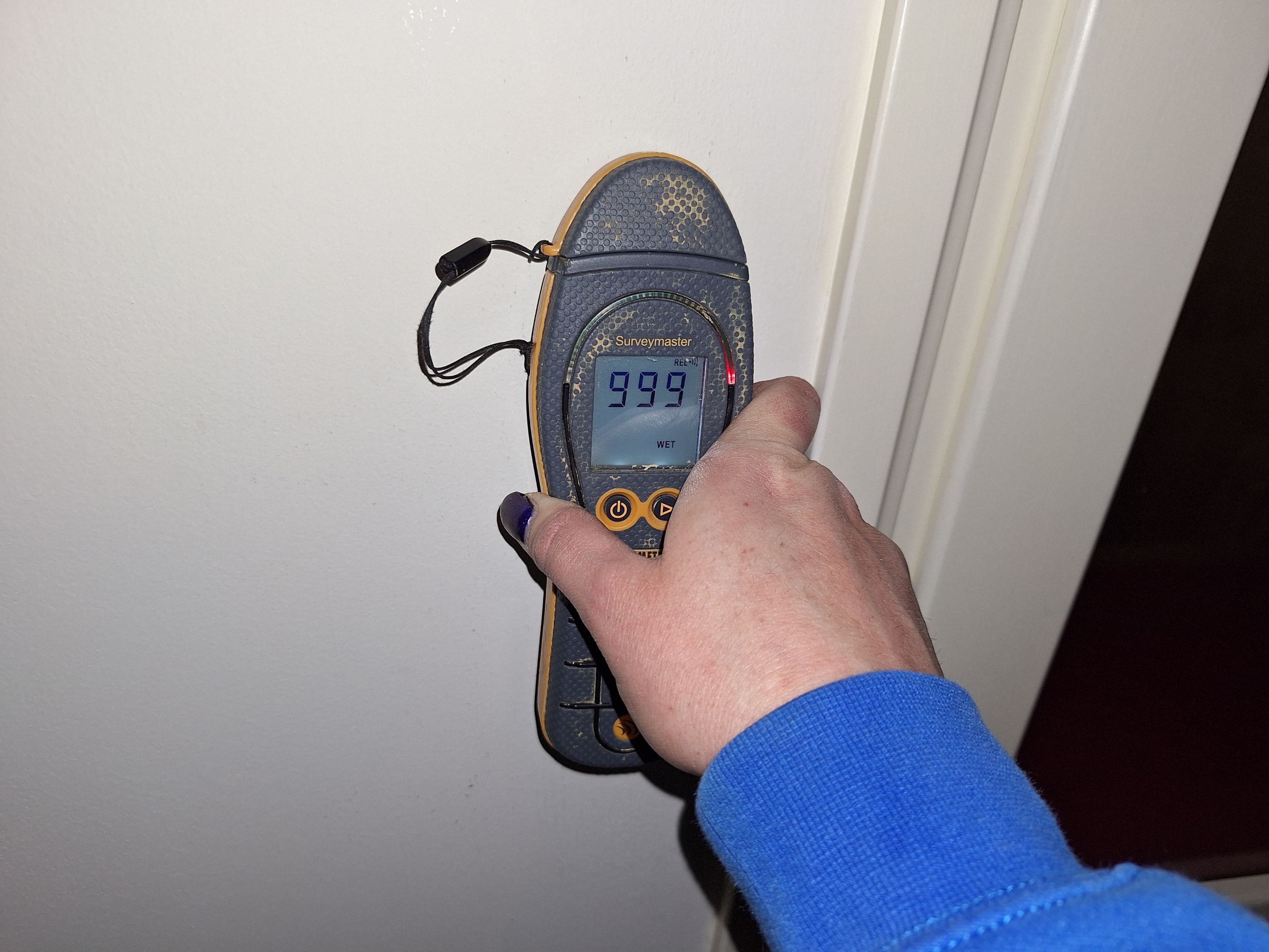 Water Mitigation and Restoration by ANR Restoration