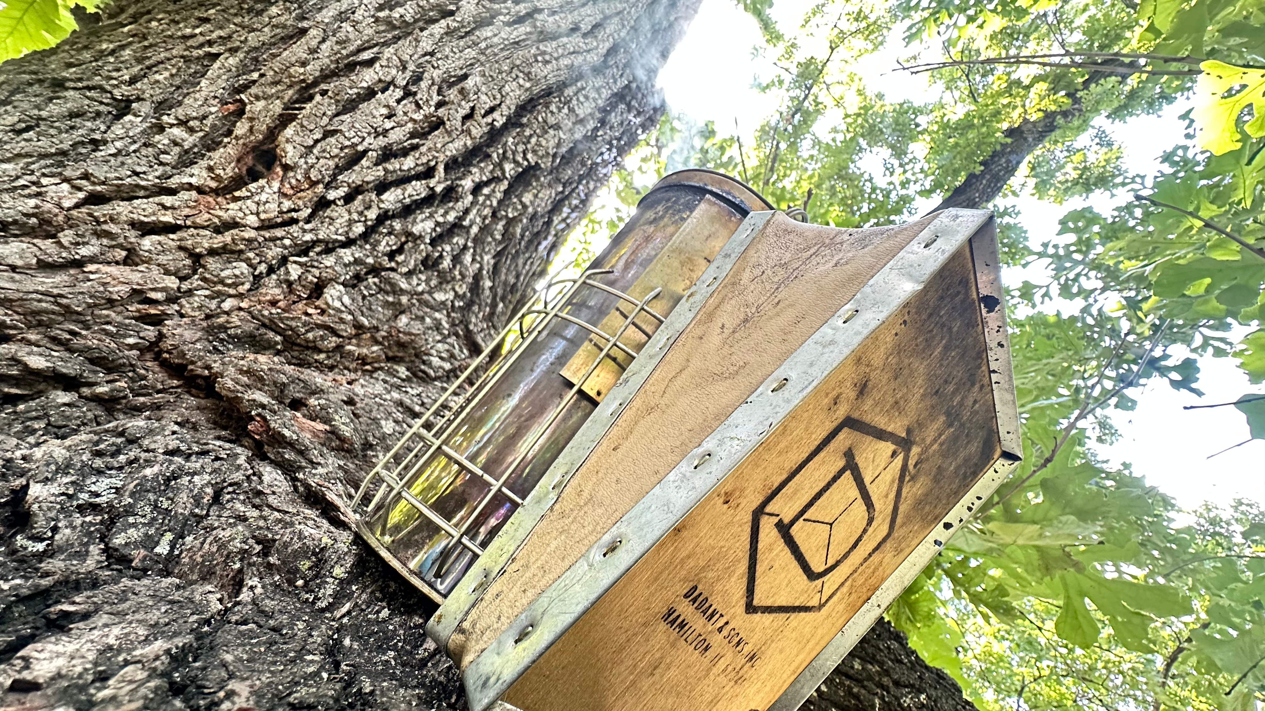 Tight Squeeze by Rockwall Honey Bee Company