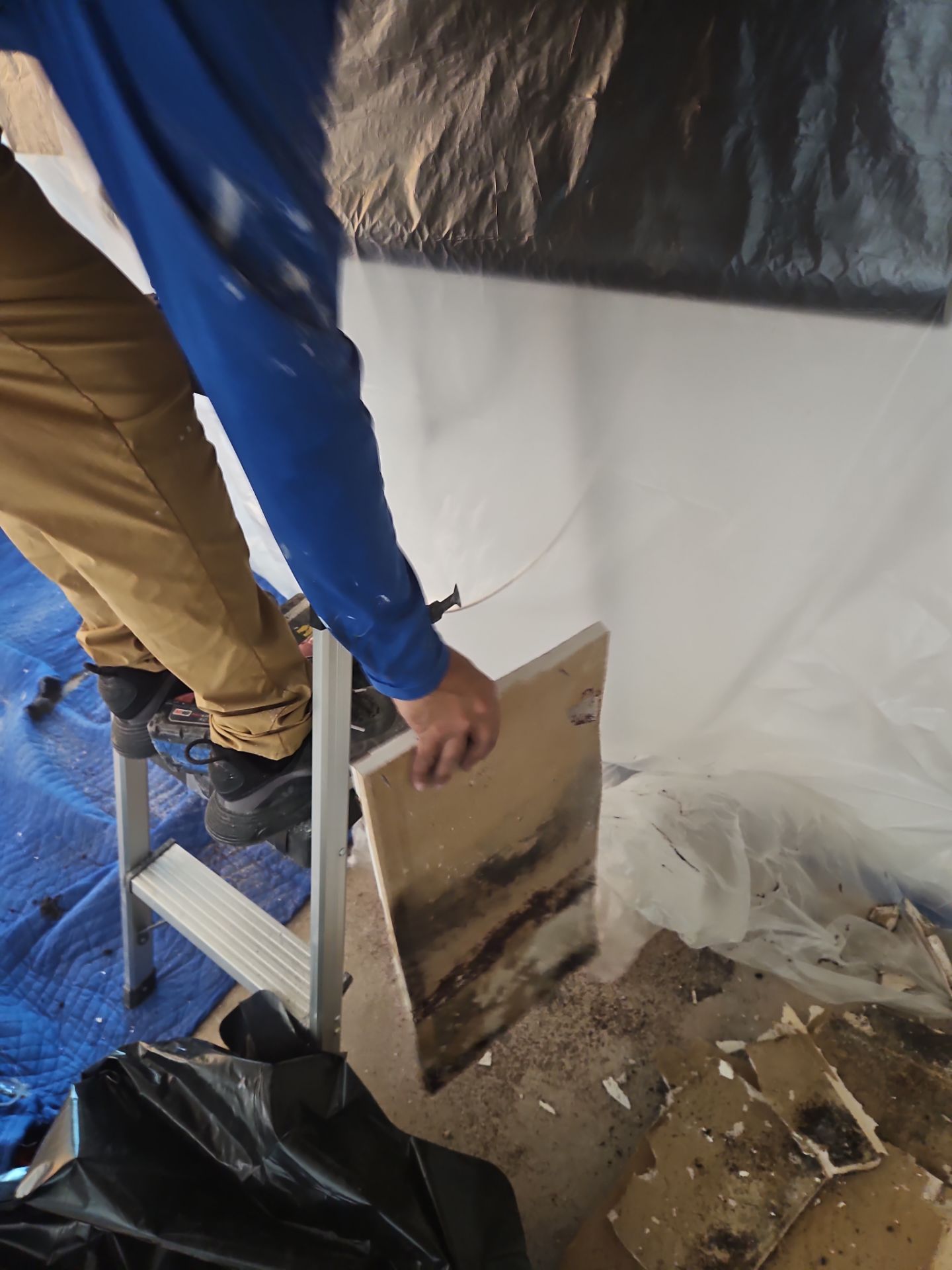 Commercial Water Damage Restoration In Bradenton by Ampm Restoration Services