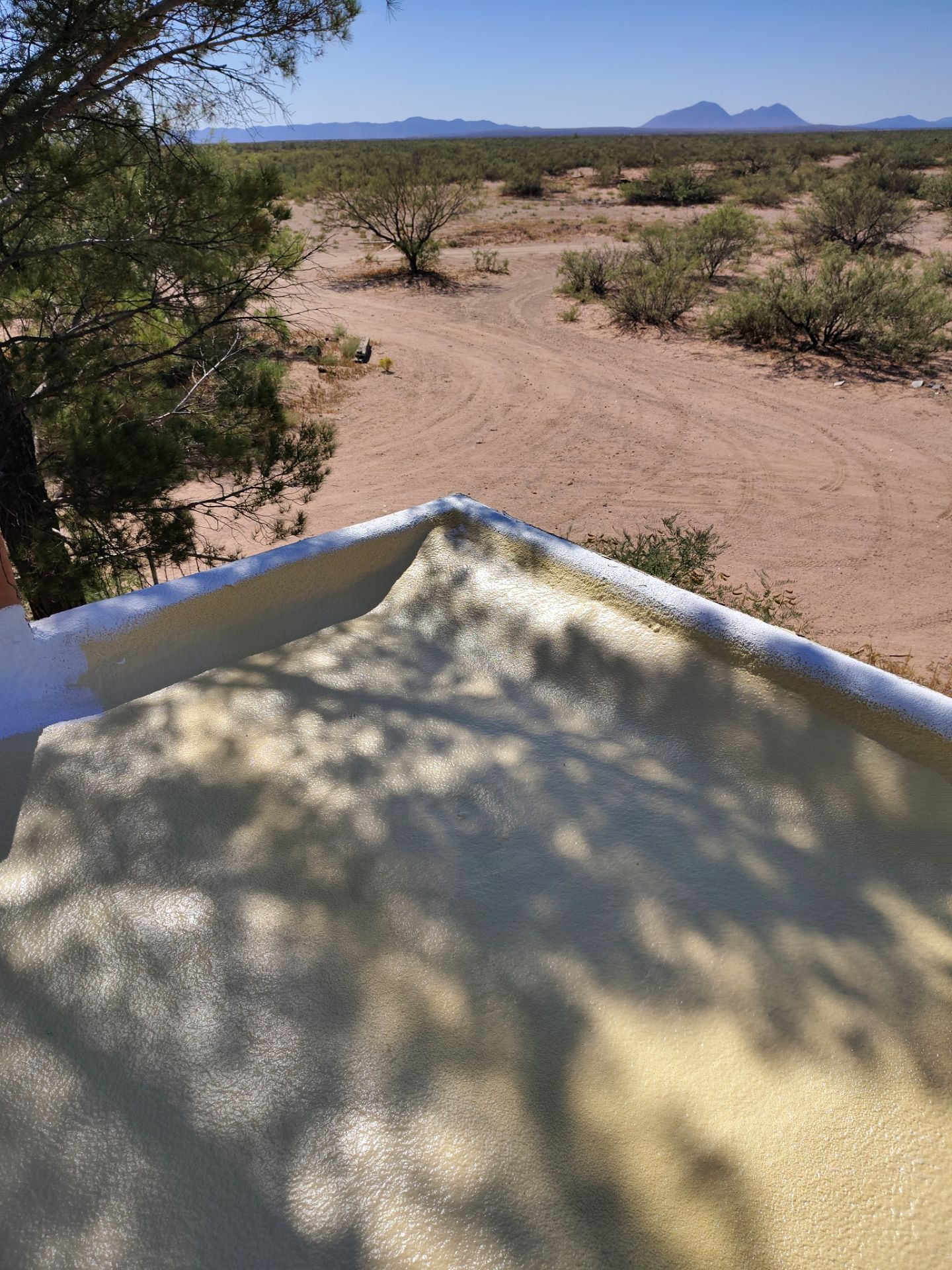 Residential roof application by SPF Services 