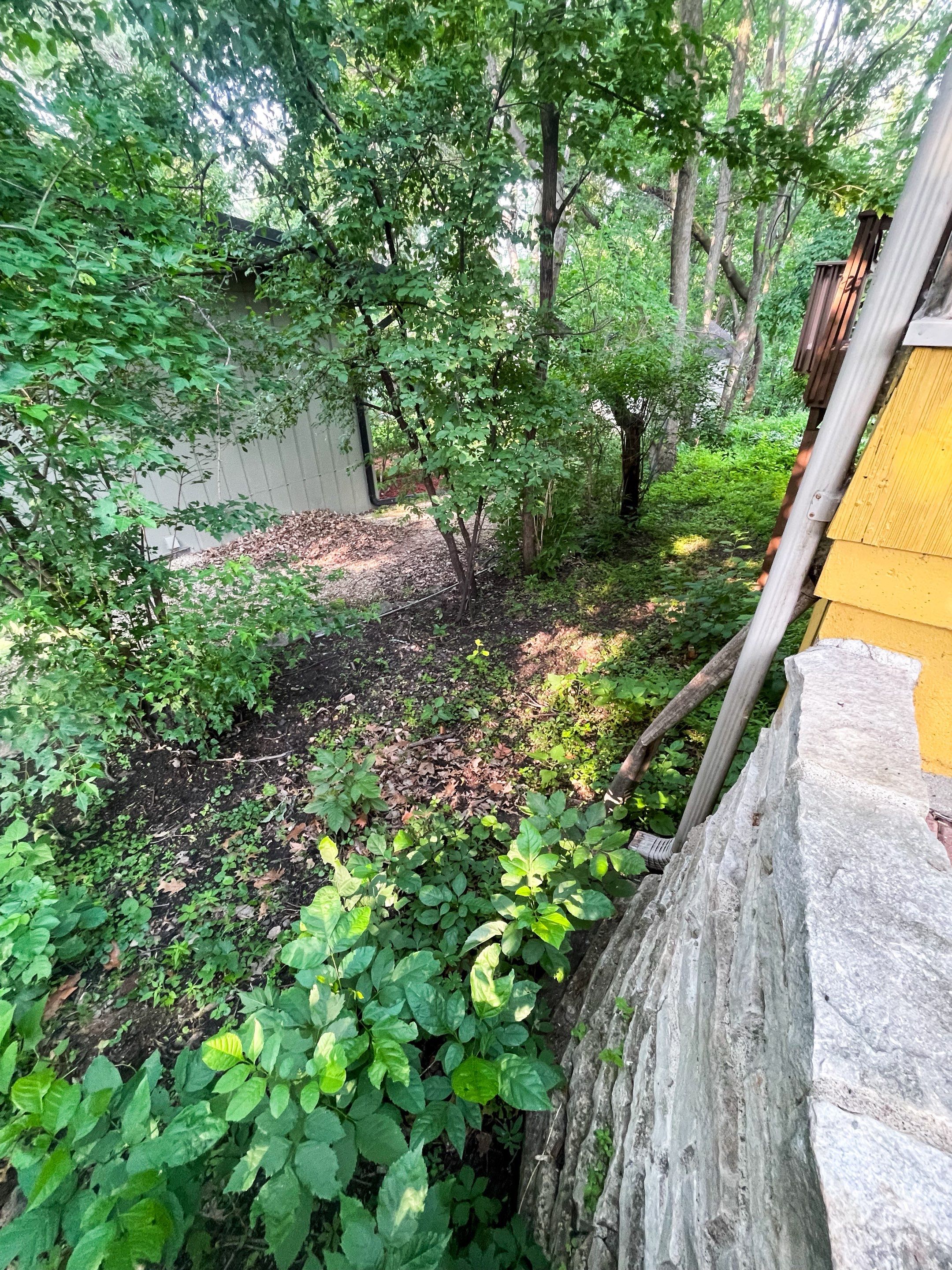 Landscape Renovation by Sota landscaping