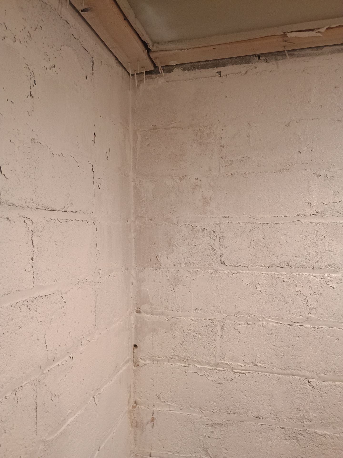 Investigating Groundwater Issues for RJ & Sally by Waterproofing Northeast