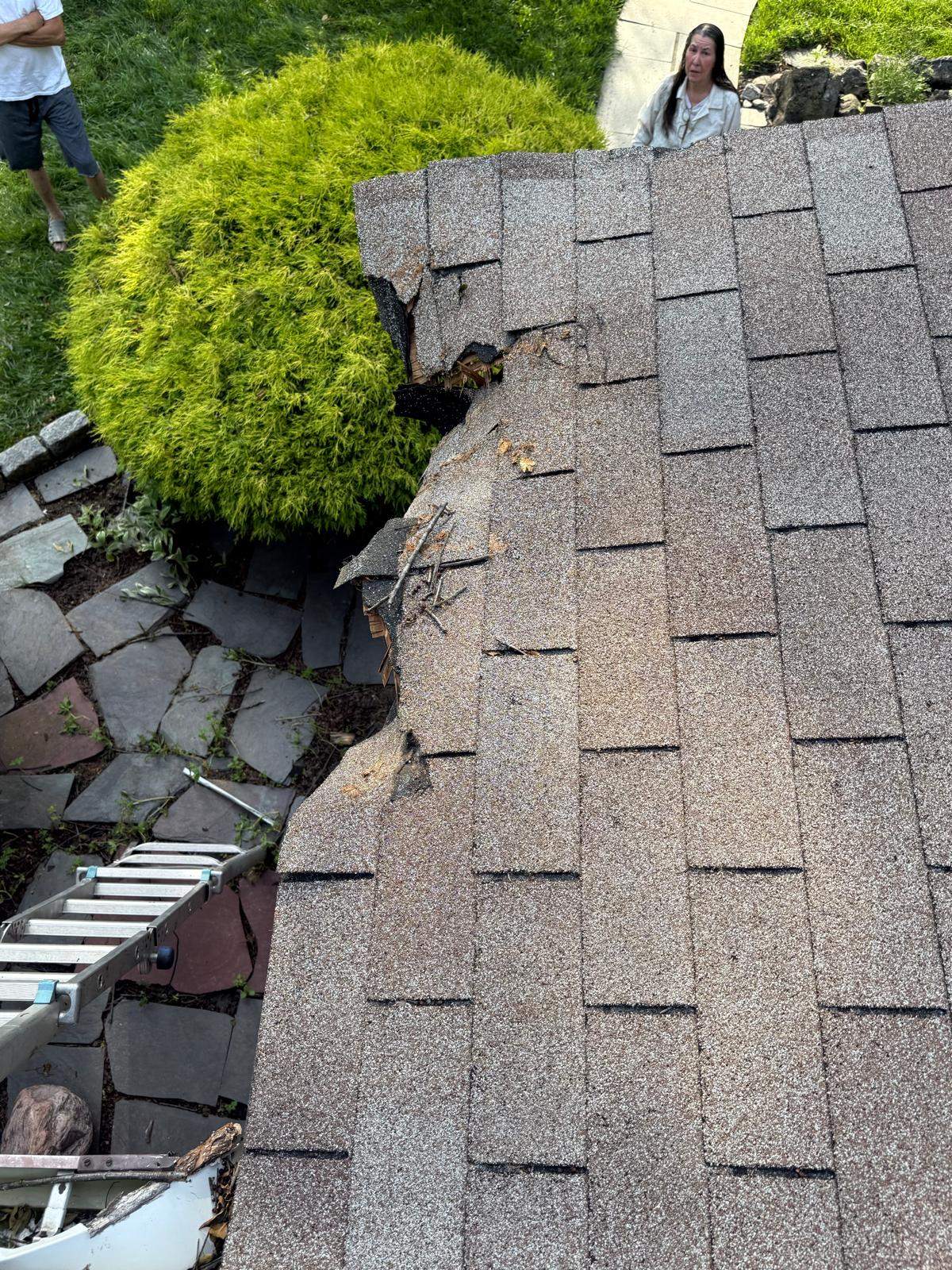 Storm Damage Repairs by Stofan Construction LLC
