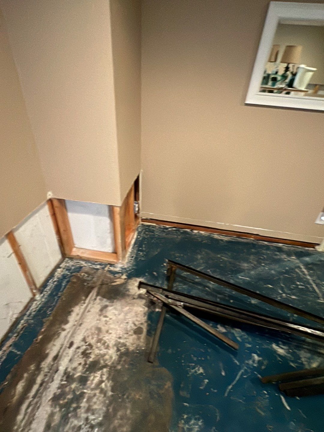 Mold Damage by Accountable Home Services