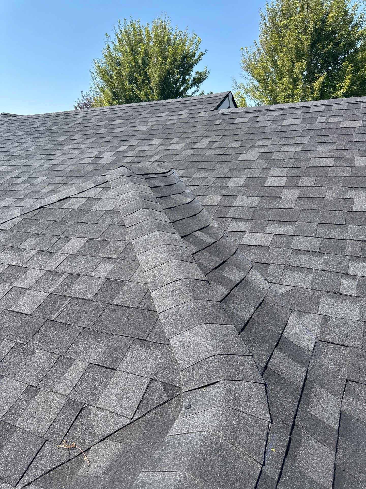 Complete Residential Roof Replacement Featuring Architectural Shingles in Meridian by Olive Roofing