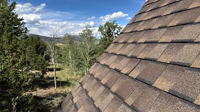 The New Look Shingles!