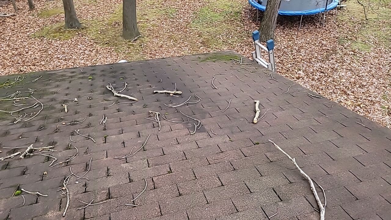 ATLAS PINNACLE COLOR: SCOTCHGARD HEATHER DRIP EDGE: MUSKET BROWN by Eagle Eye Roofing