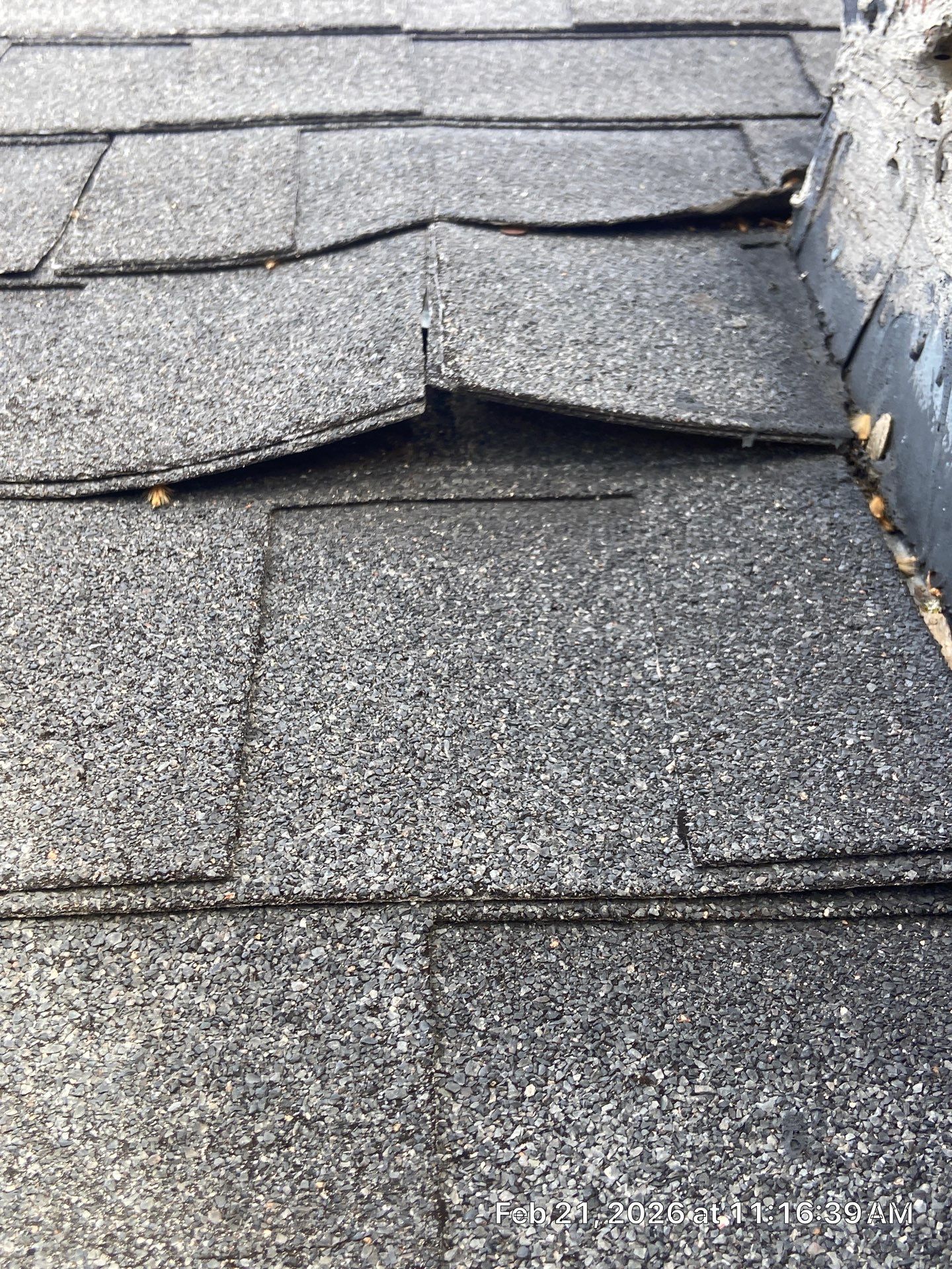 Roof Rejuvenation using Roof Maxx Treatment by Roof Maxx of Folsom