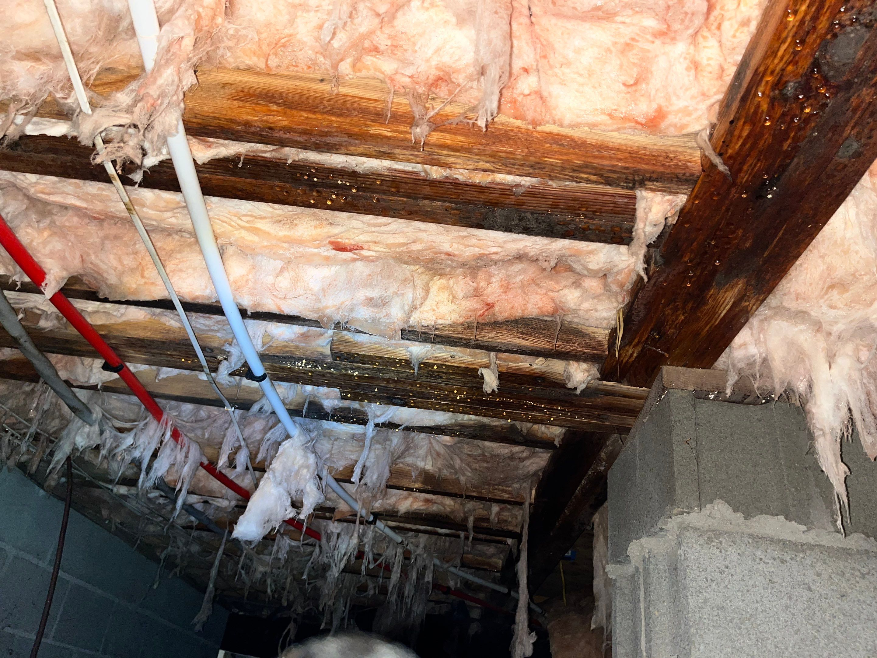 Premium Encapsulation with Bora-Foam using Bora-Foam Insulation by Impact Crawlspace