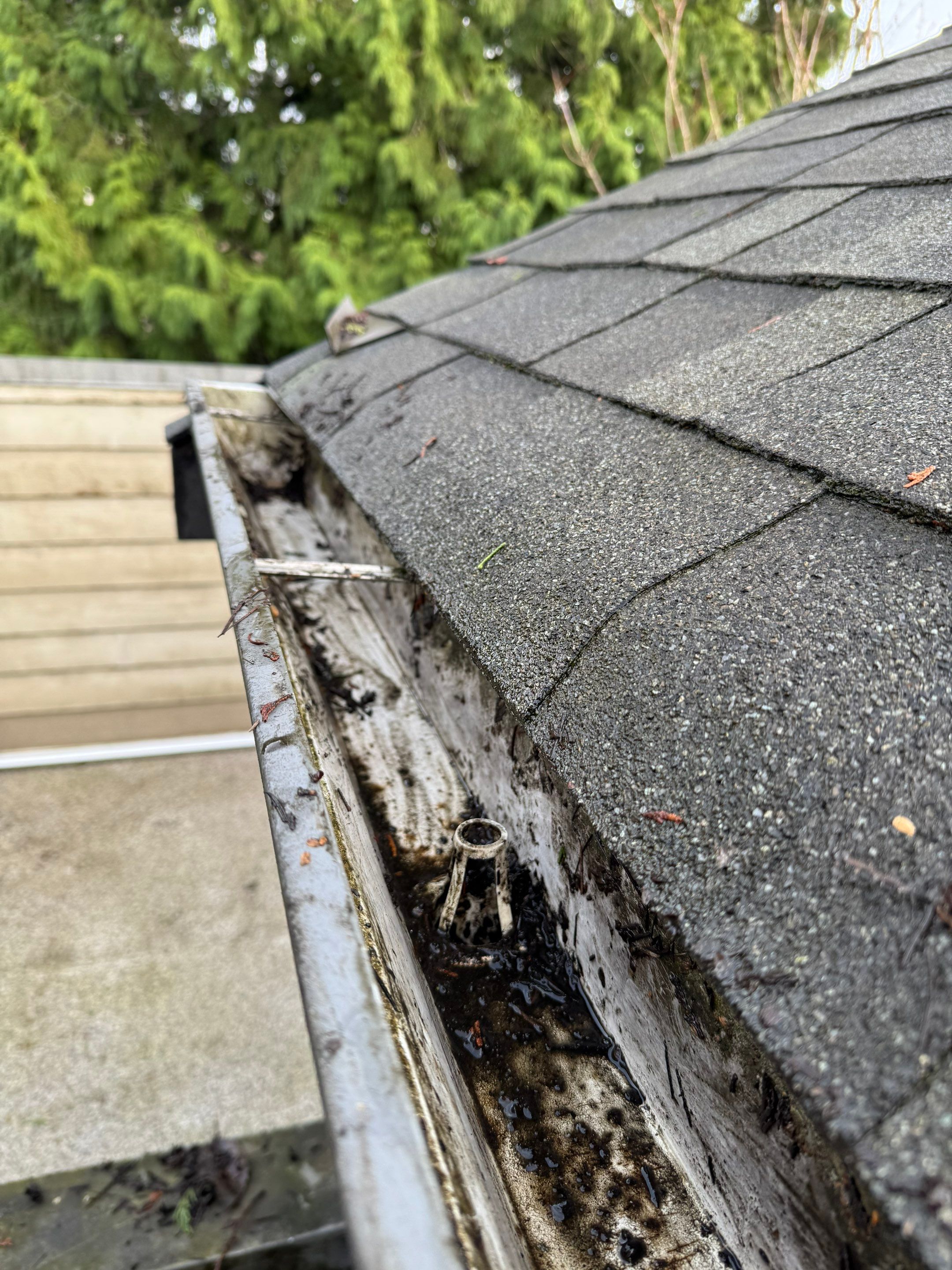 Gutter Cleaning by YVR Construction Group