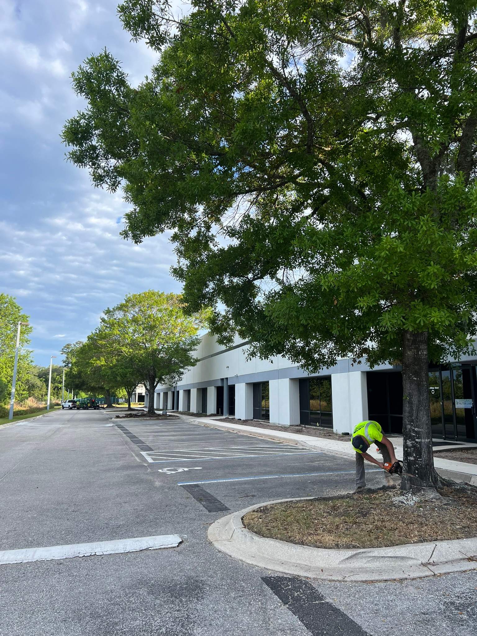 Tree Work | Center Point Business Complex by ProGreen Services