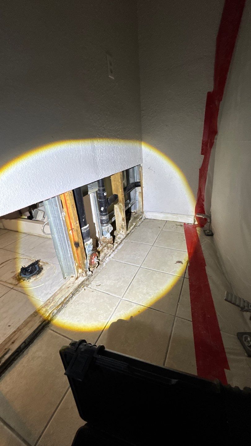 Mold Damage Project in Denver by Accountable Home Services