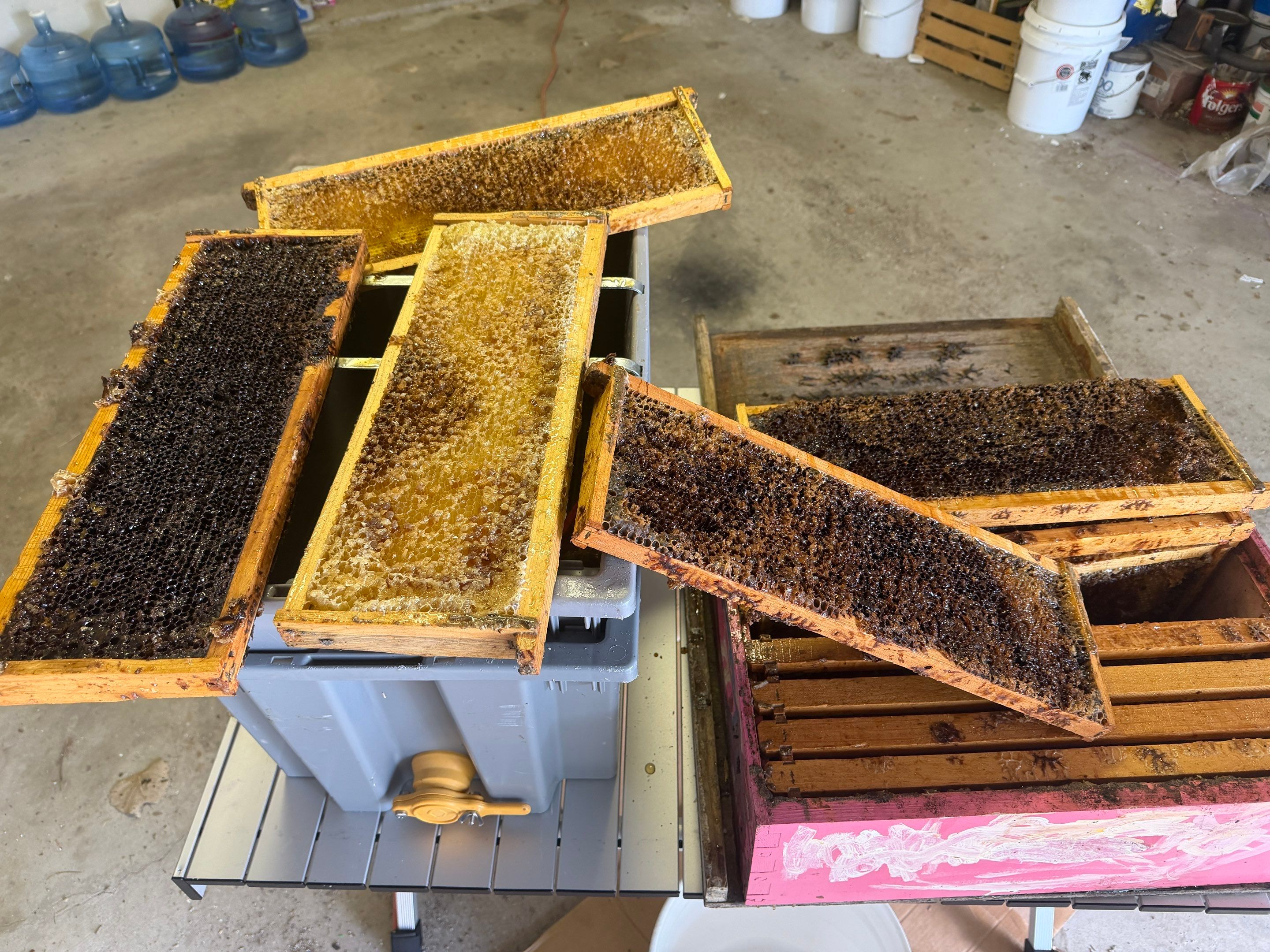 Backyard Survivor Stock by Rockwall Honey Bee Company