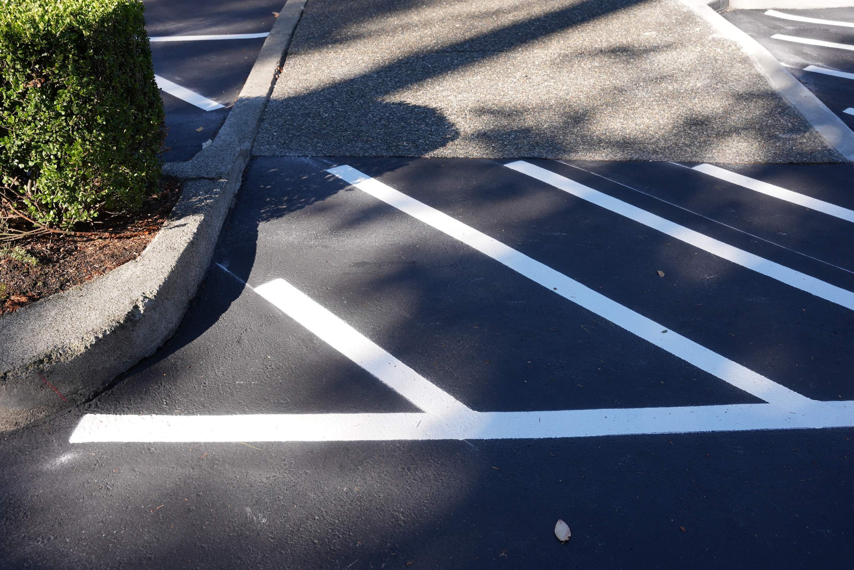 Buchan | Business Parking Lot Repair & Striping by Jireh Asphalt & Concrete Inc 
