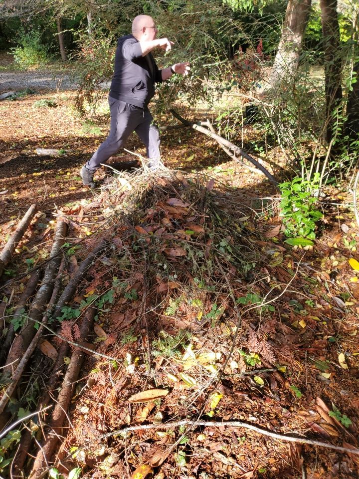 Tree Removal using Tree Removal by Mike Jones & Sons Tree Service LLC 