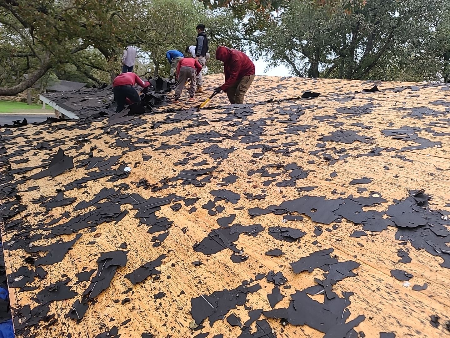 Complete Roofing Replacement With Malarkey Vista Shingles in Fredericksburg by Caliber Restoration LLC