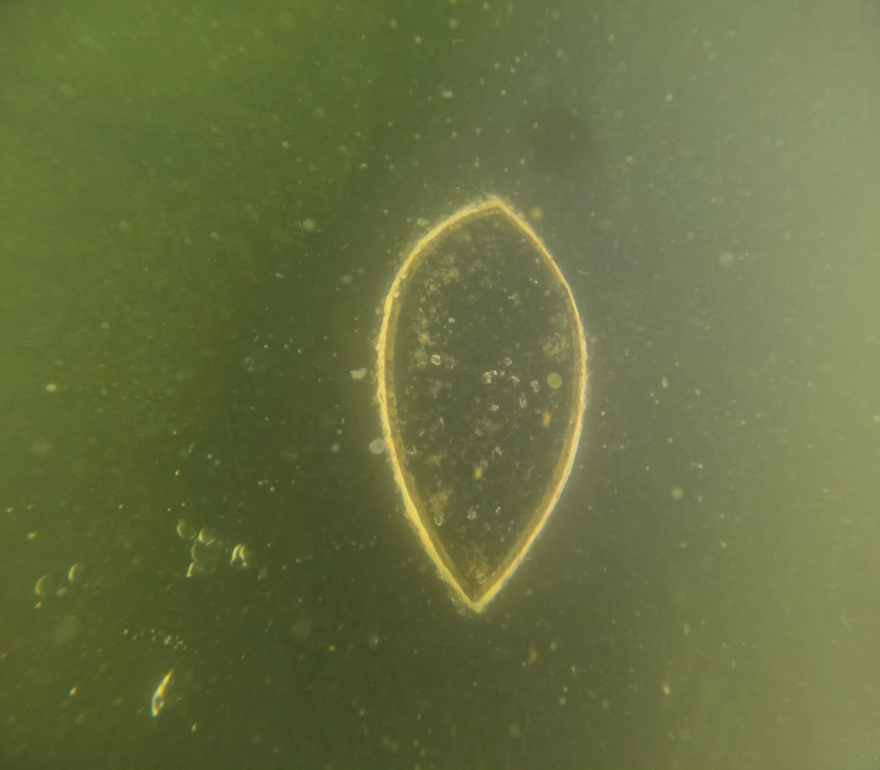 Project in Marco island, FL by Florida Hull Cleaning 