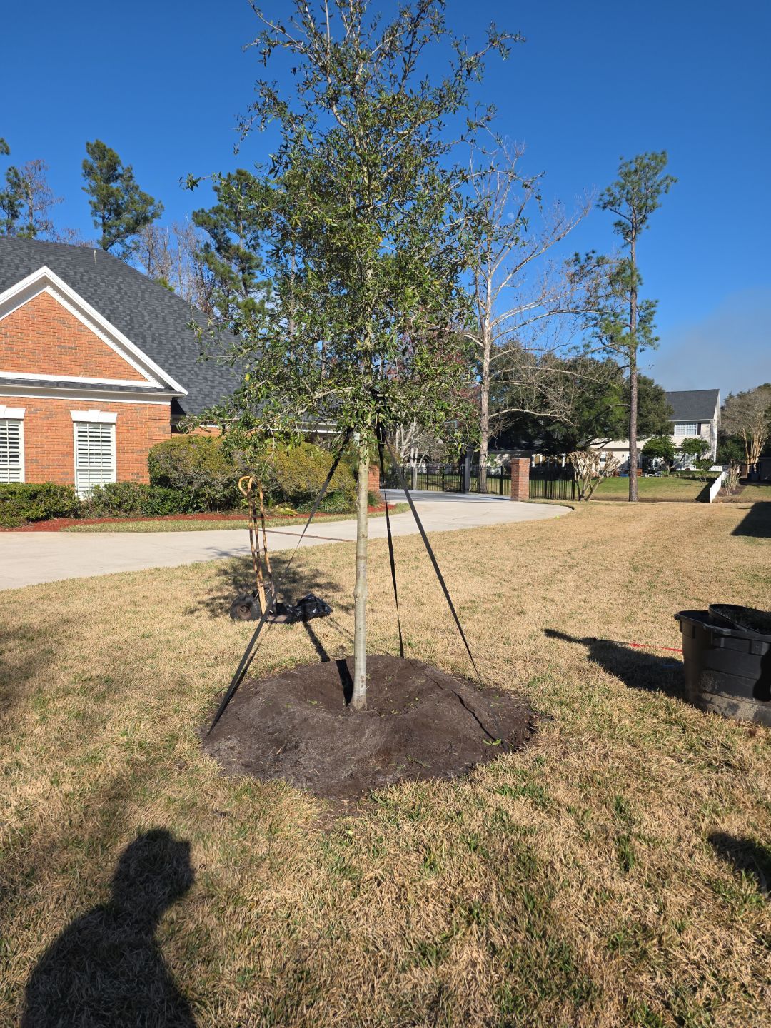 Deerwood Resident | Tree Service by ProGreen Services