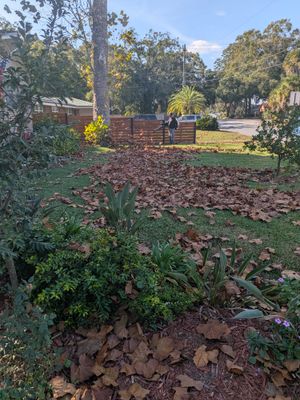 Large-Scale Leaf Removal & Property Cleanup — Jacksonville, FL (Arlington Area)