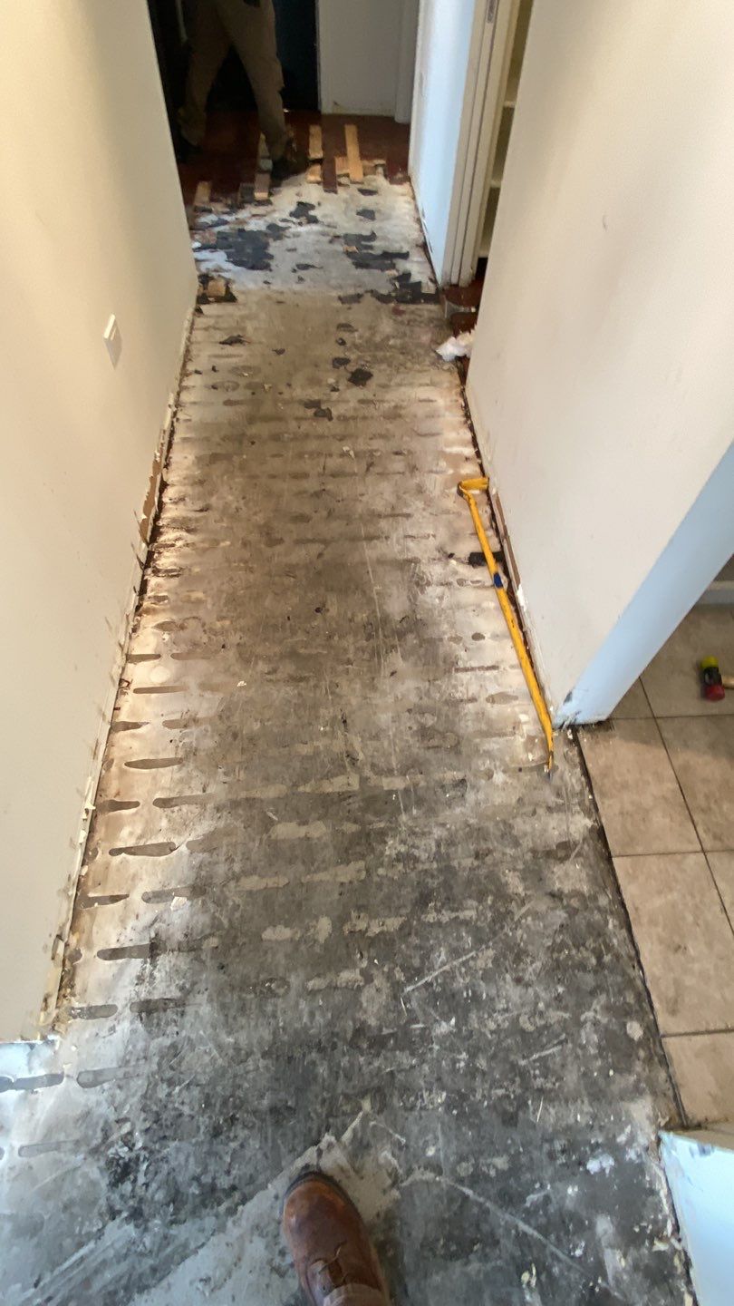Sewage Backup in Highrise by Chicagoland Water Medics