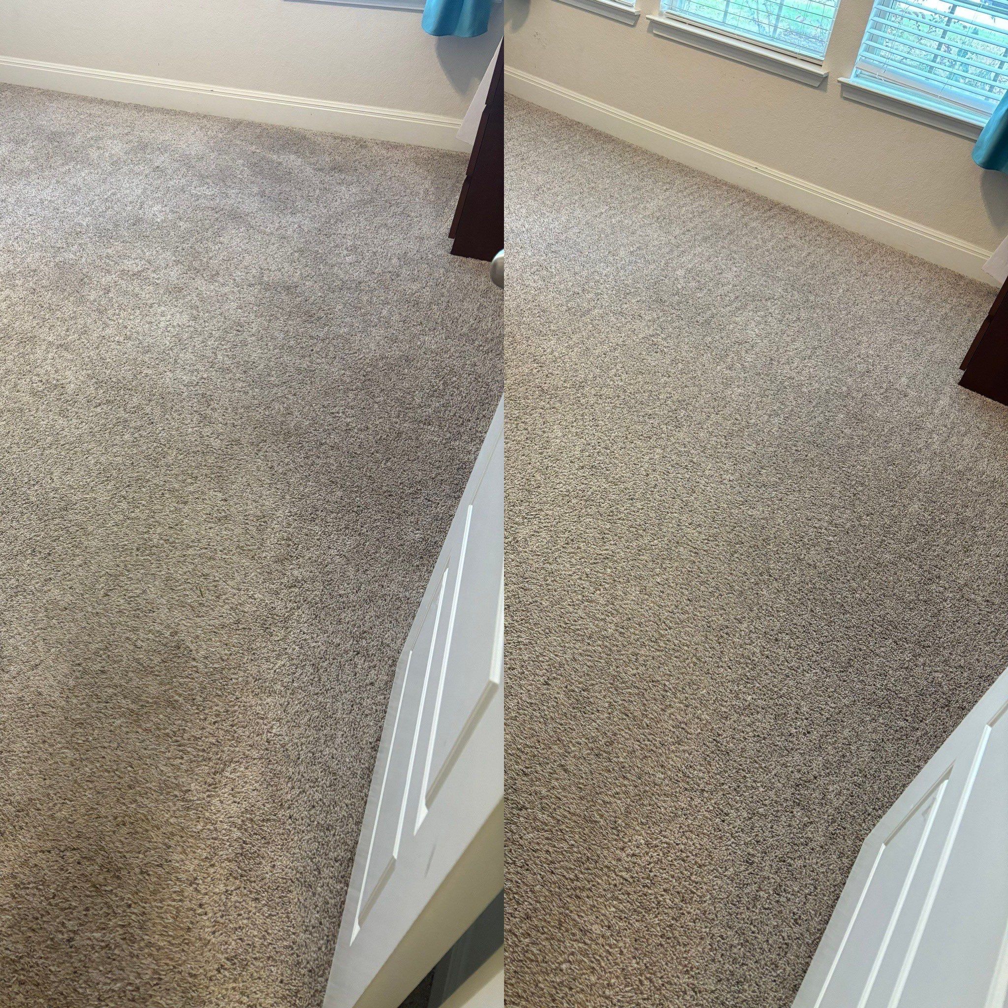 the service is deep cleaning a carpet removing stains and dirt from the fibers for a refreshed appearance