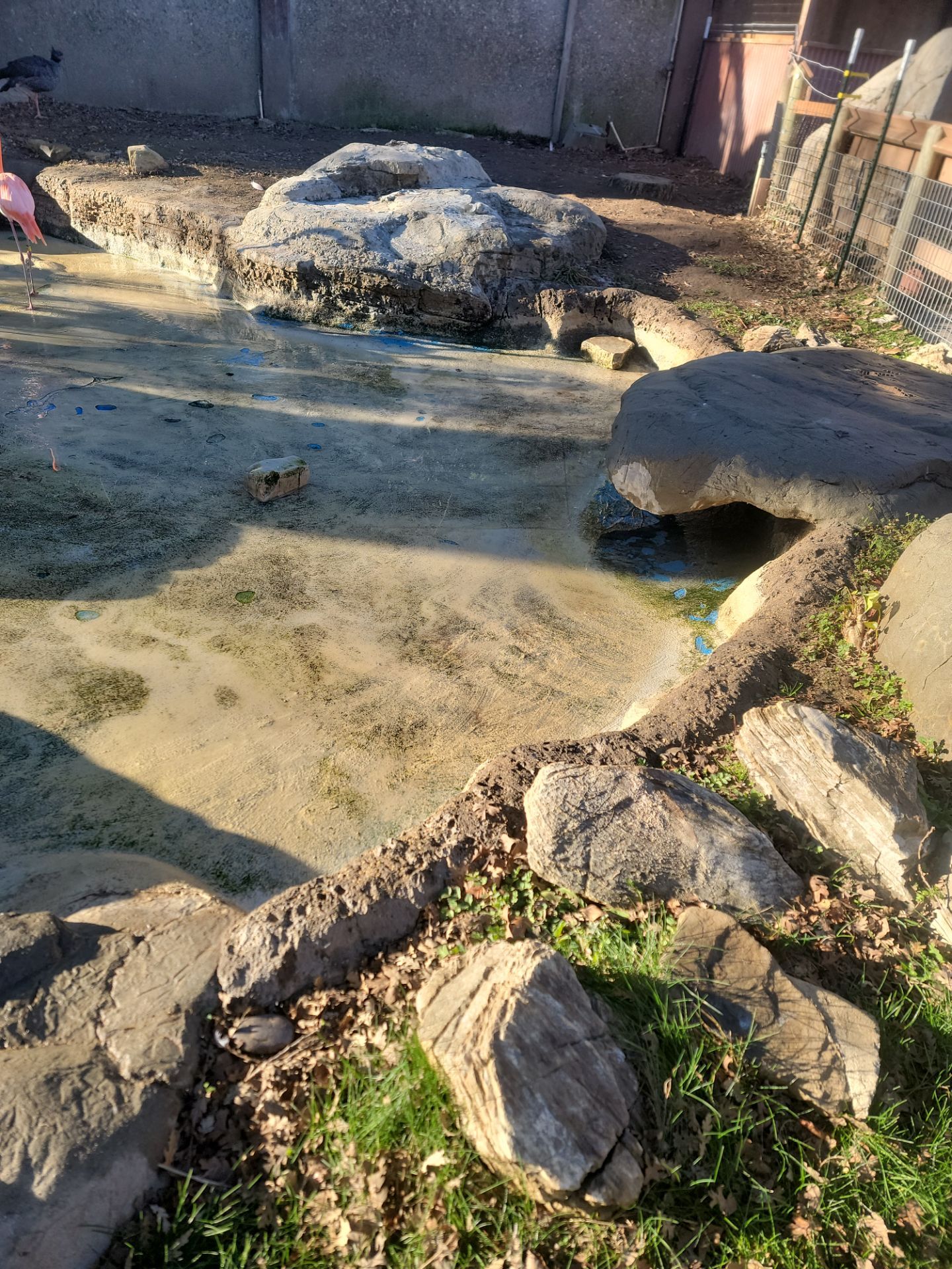Charles Paddock Zoo Flamingo Pond by MGP Coatings