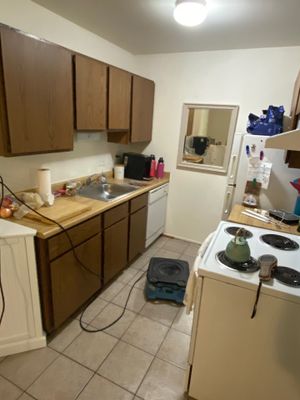 Project in Holly