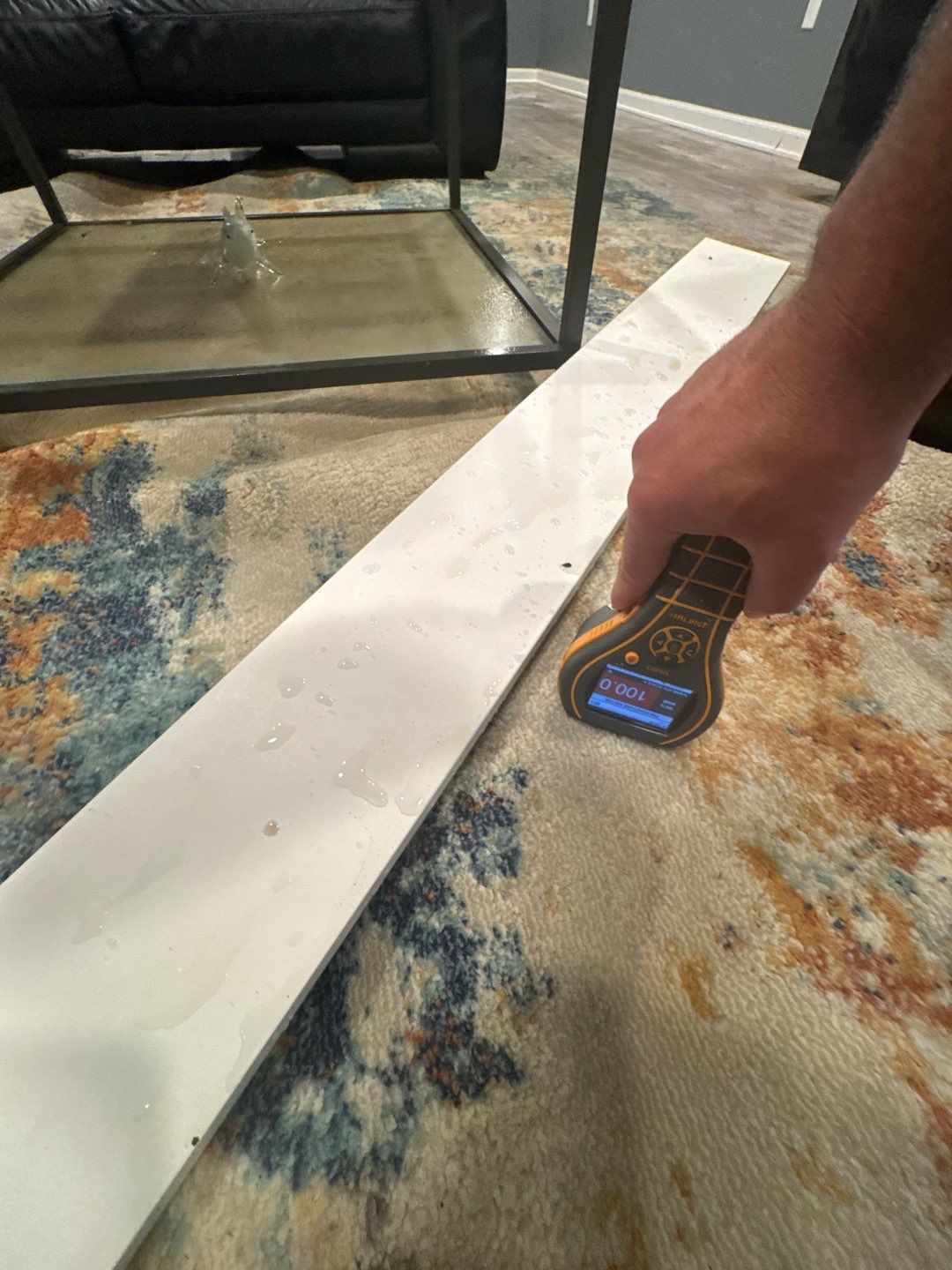 Project in Beverly Hills by EzDry Water Mitigation & Property Restoration