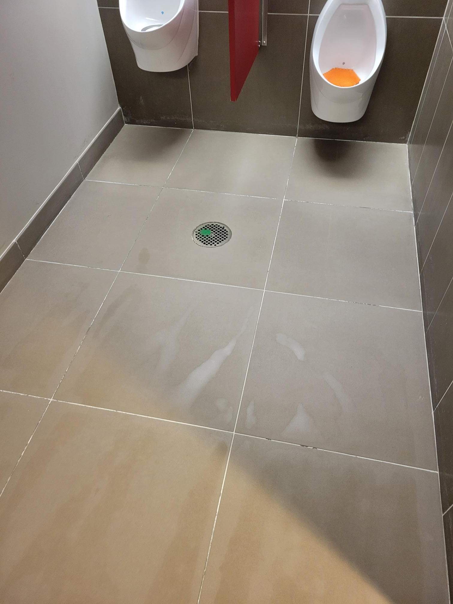 SaniGlaze Removal and reconditioning using CareGuard by Corporate Care