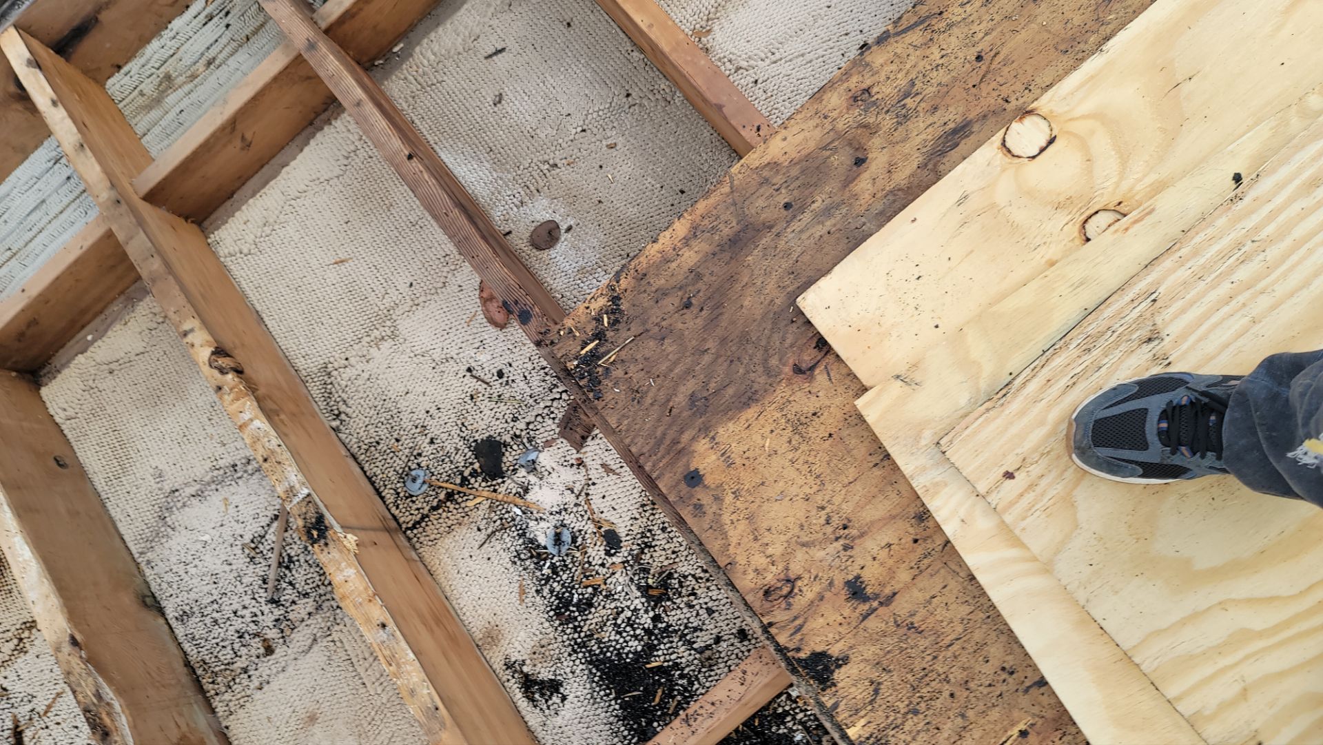 Flat Roof Replacement and Decking Repair in Boca Raton by Aastro Roofing