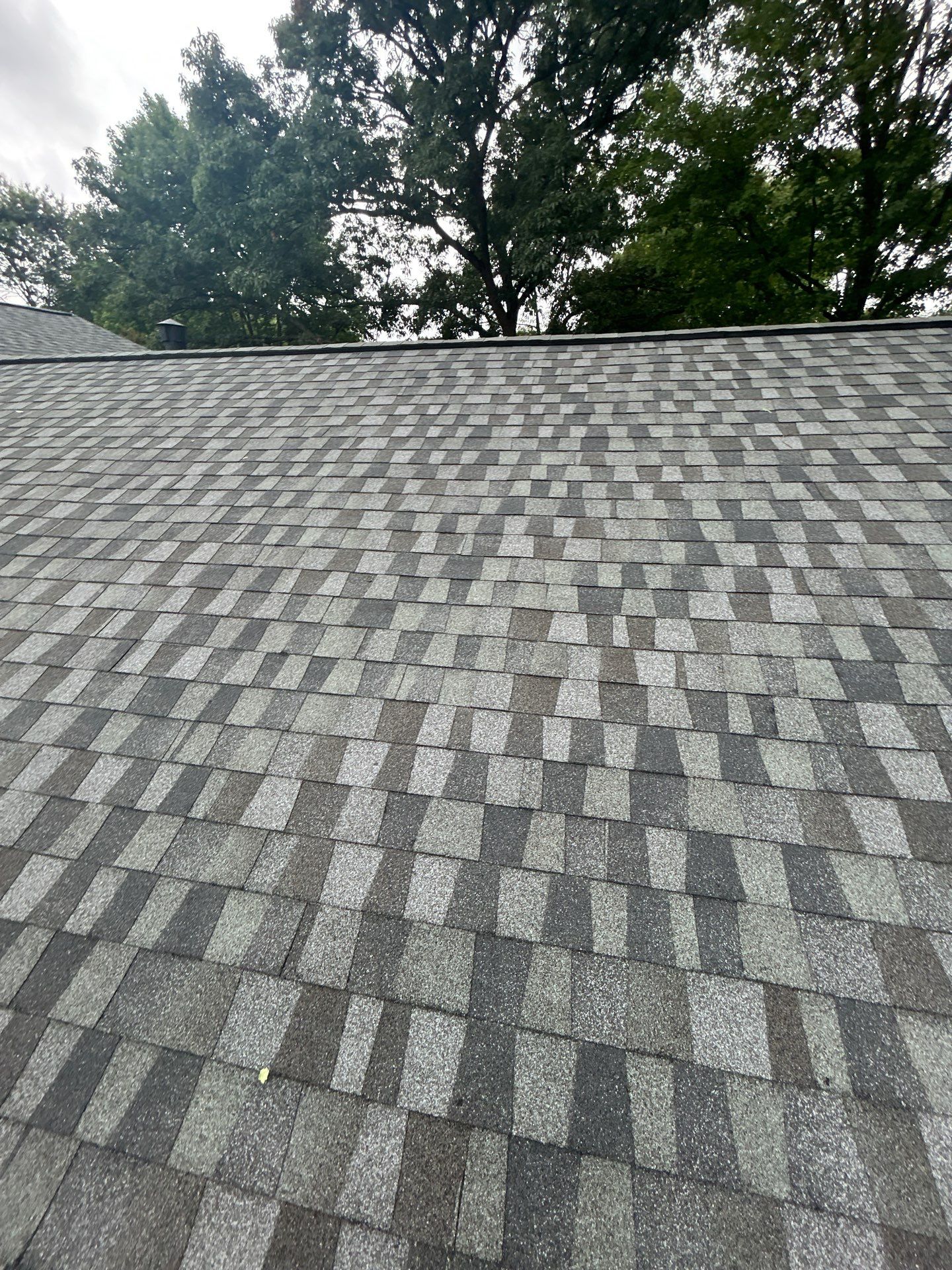 Alexandria: Residential Roof Replacement with GAF Timberline HDZ in Nantucket Morning by RM Banning, Inc.
