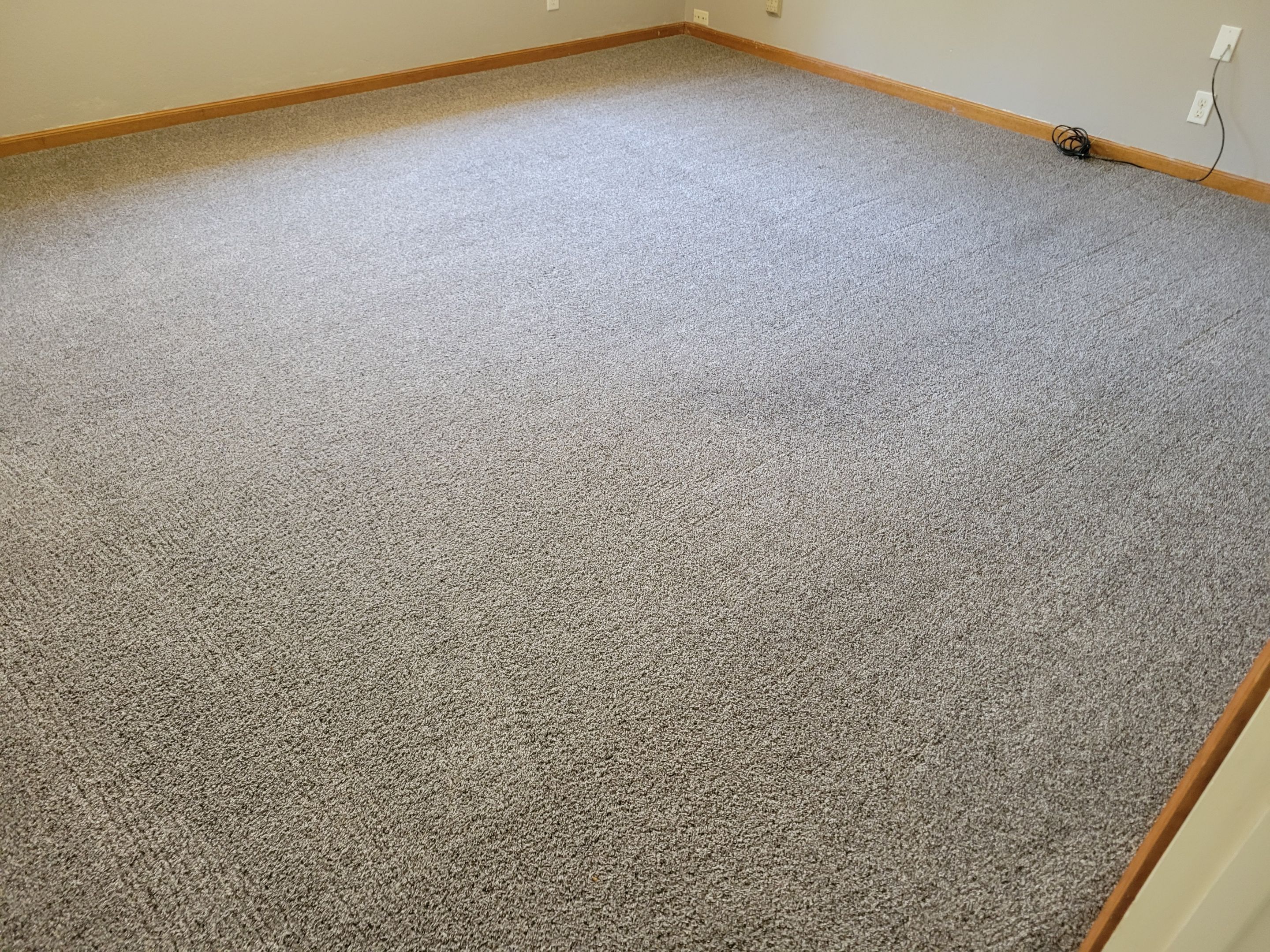 Carpet Cleaning for House Listing by Ardent Carpet Restore LLC