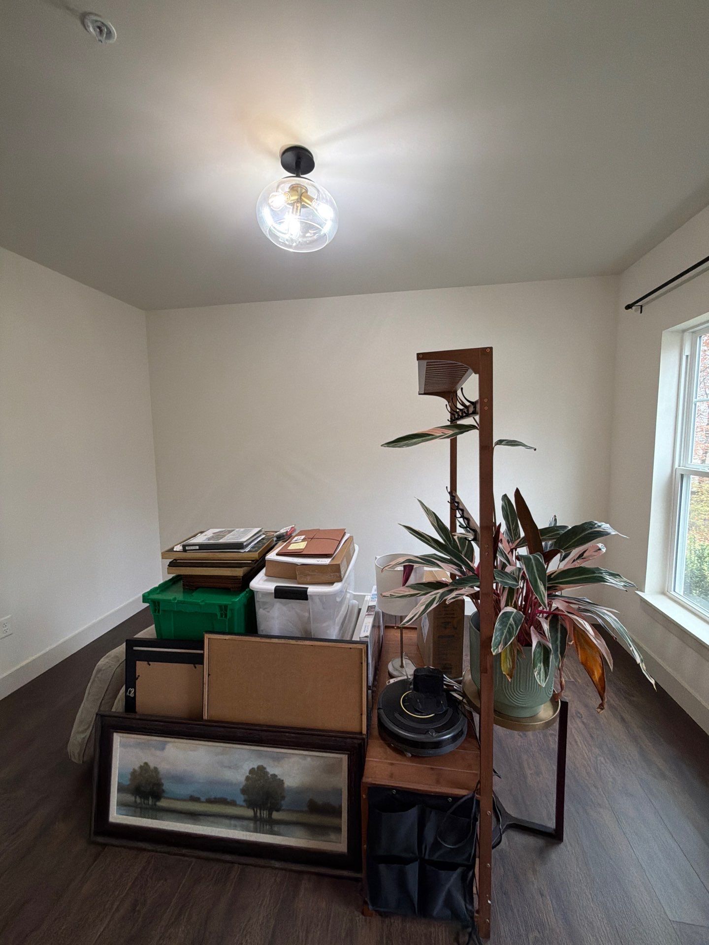 Whole-Home Interior Refresh in Malvern by Groovy Hues