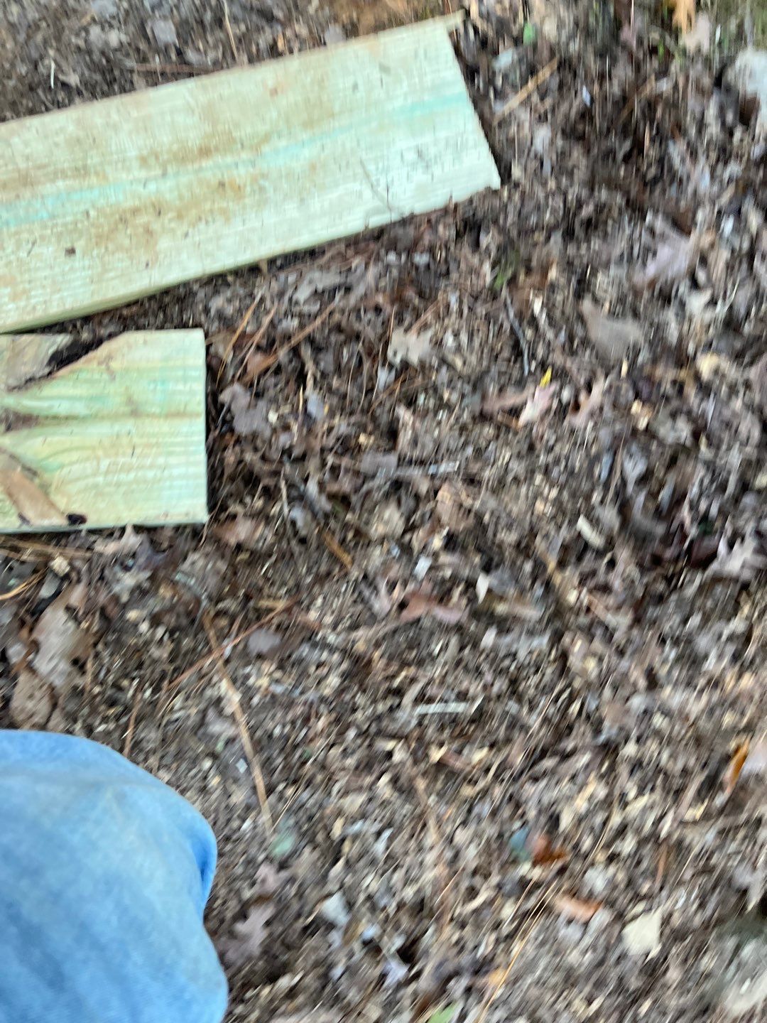 Sandy Cove - Screen Porch by Pillar and Pine