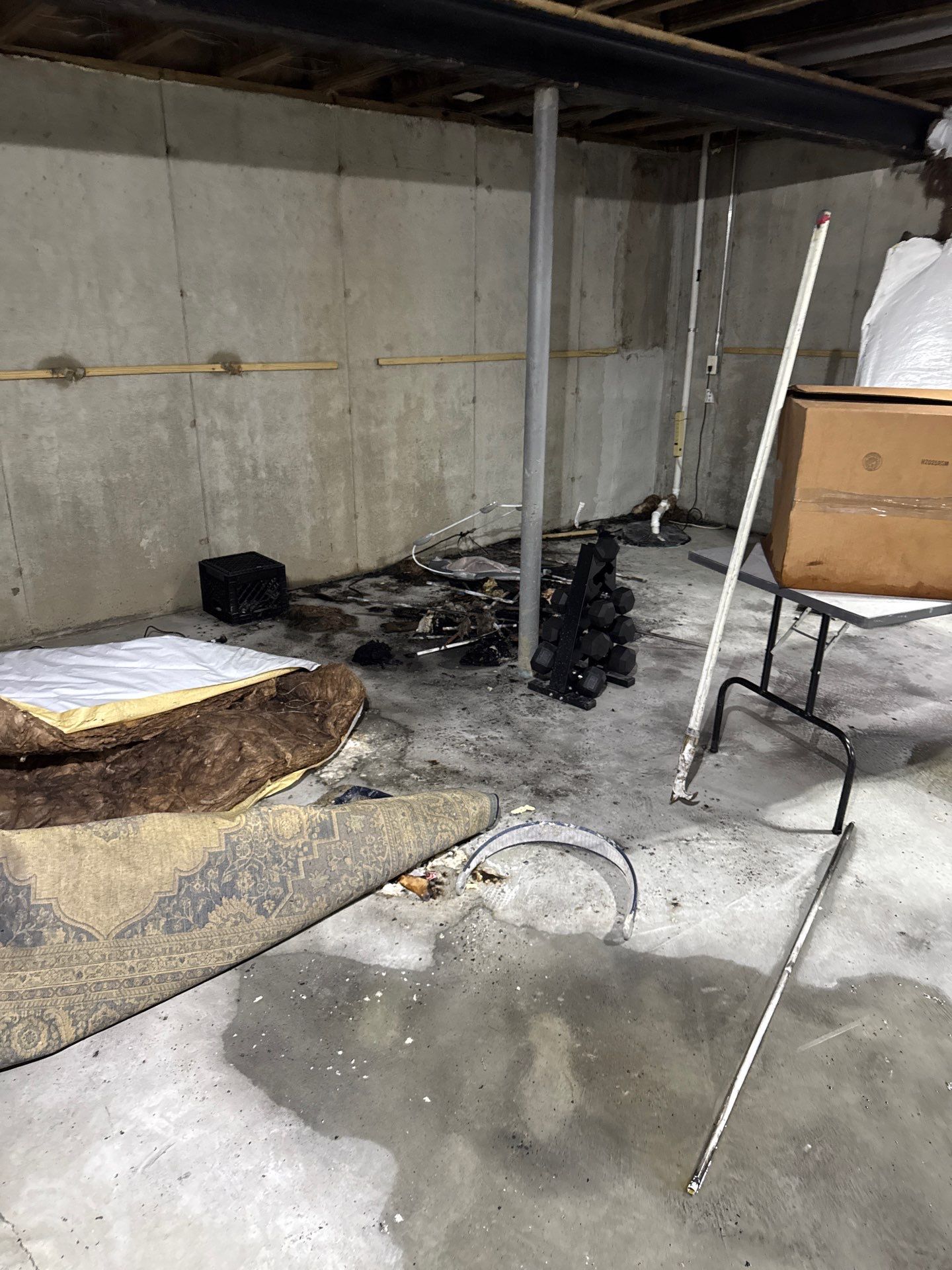 Project in Commerce Twp by EzDry Water Mitigation & Property Restoration