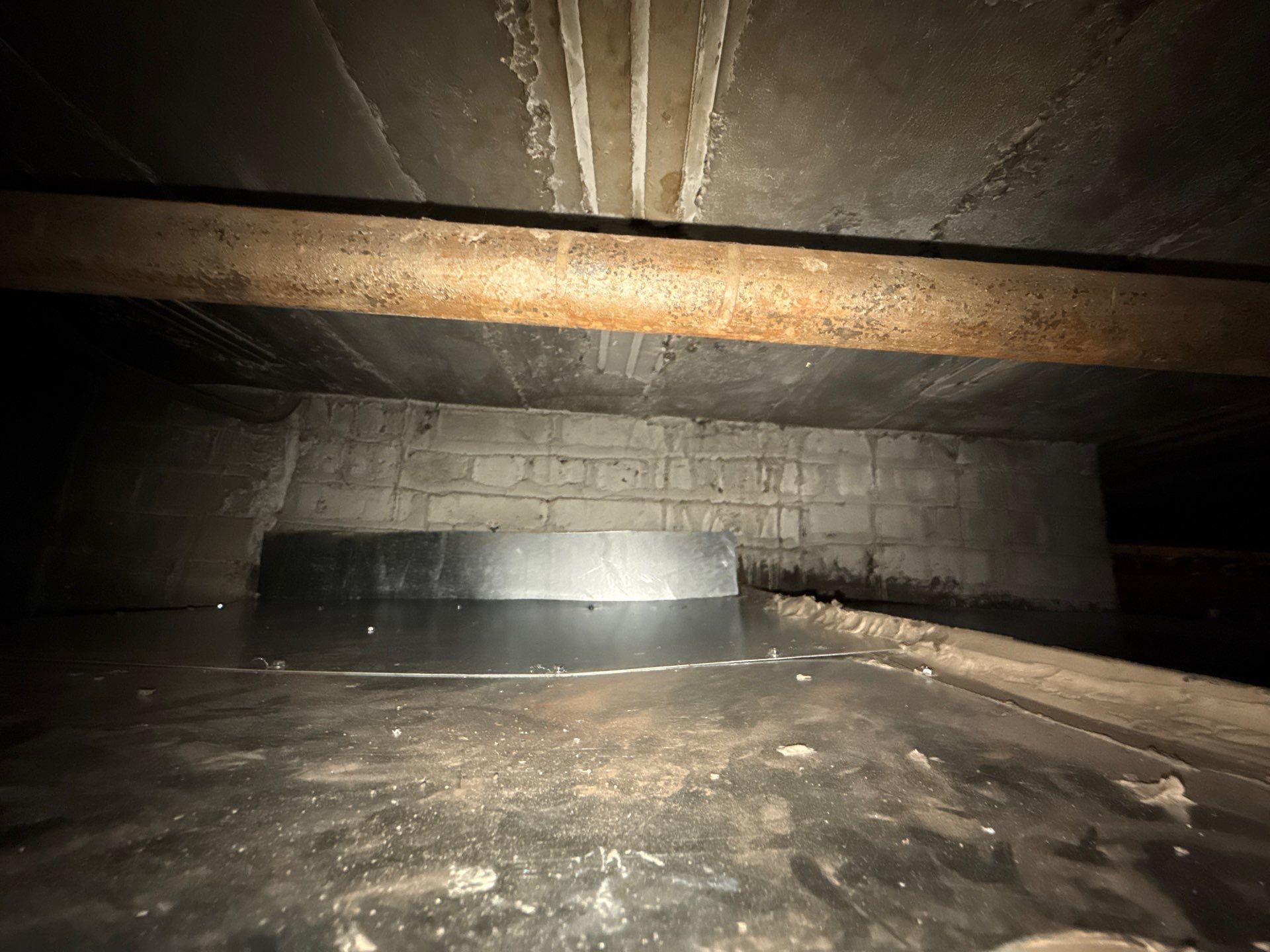 Boiler Cleaning & Flue Rebuild by Thermacore