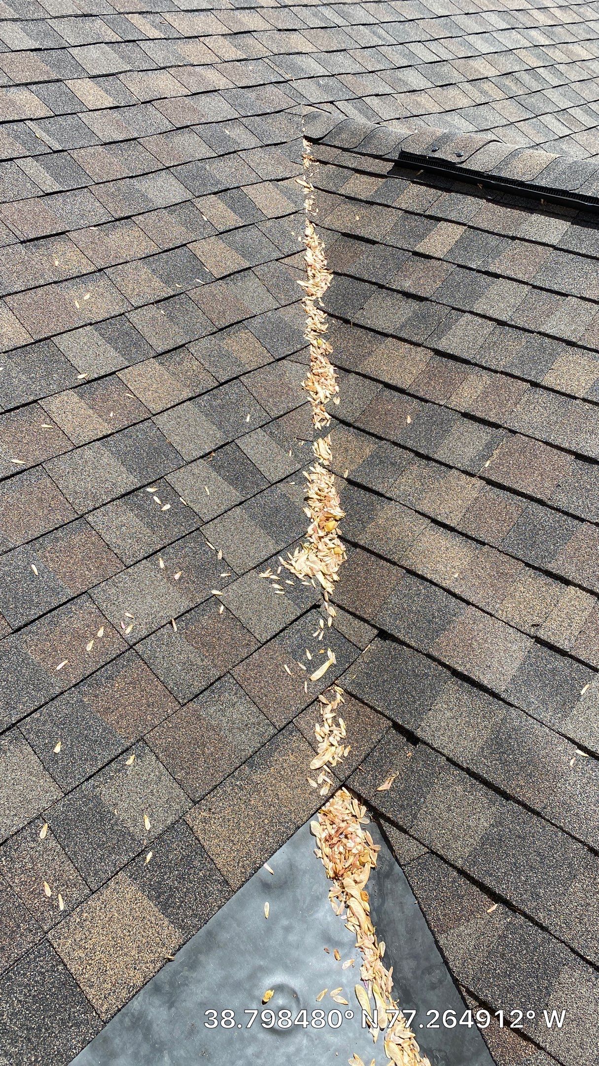 Burke: CertainTeed Landmark Pro Designer Shingles in Max Def Shenandoah by RM Banning, Inc.