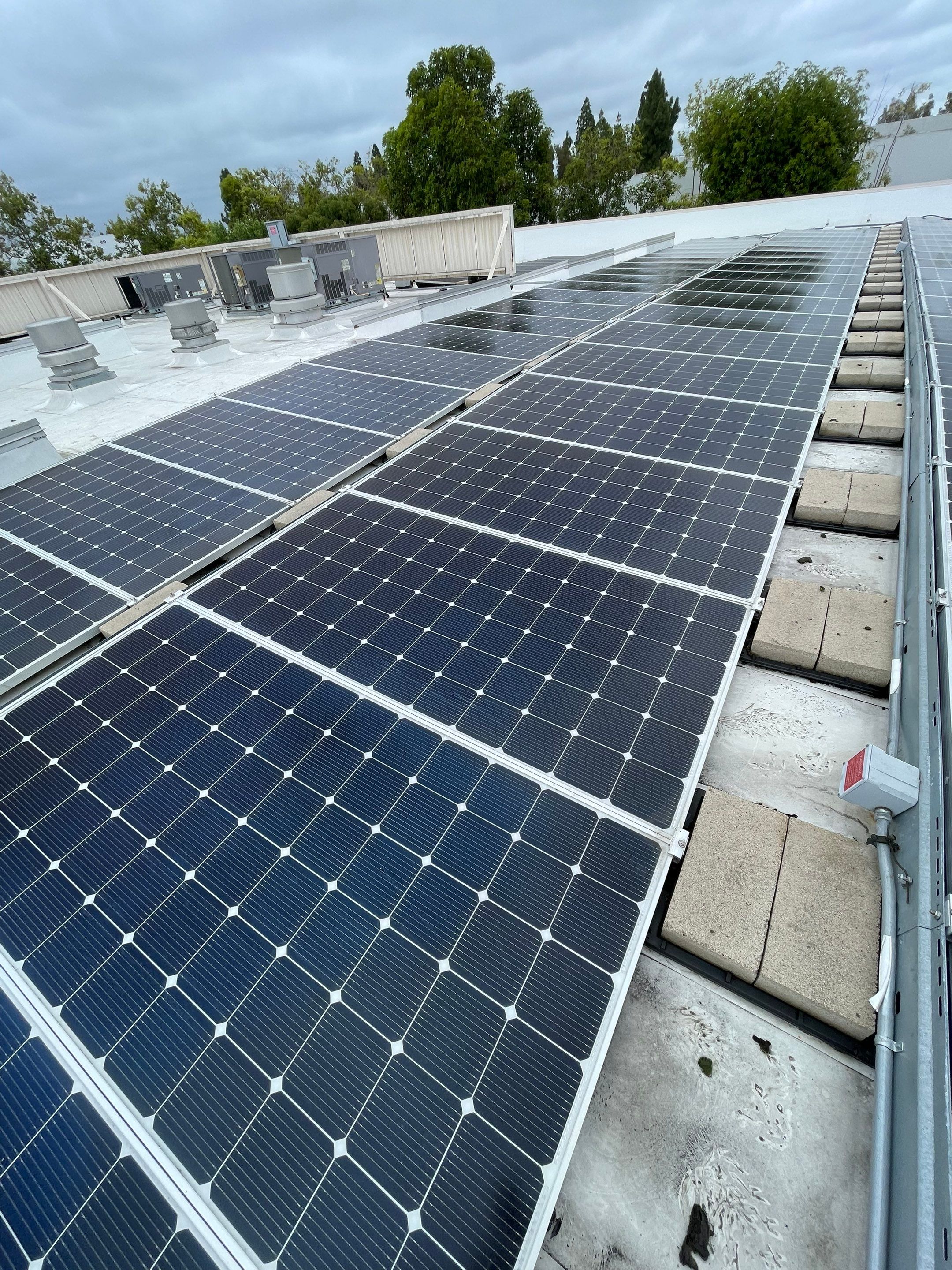 Commercial Solar Cleaning by Palm Coast Solar Cleaning