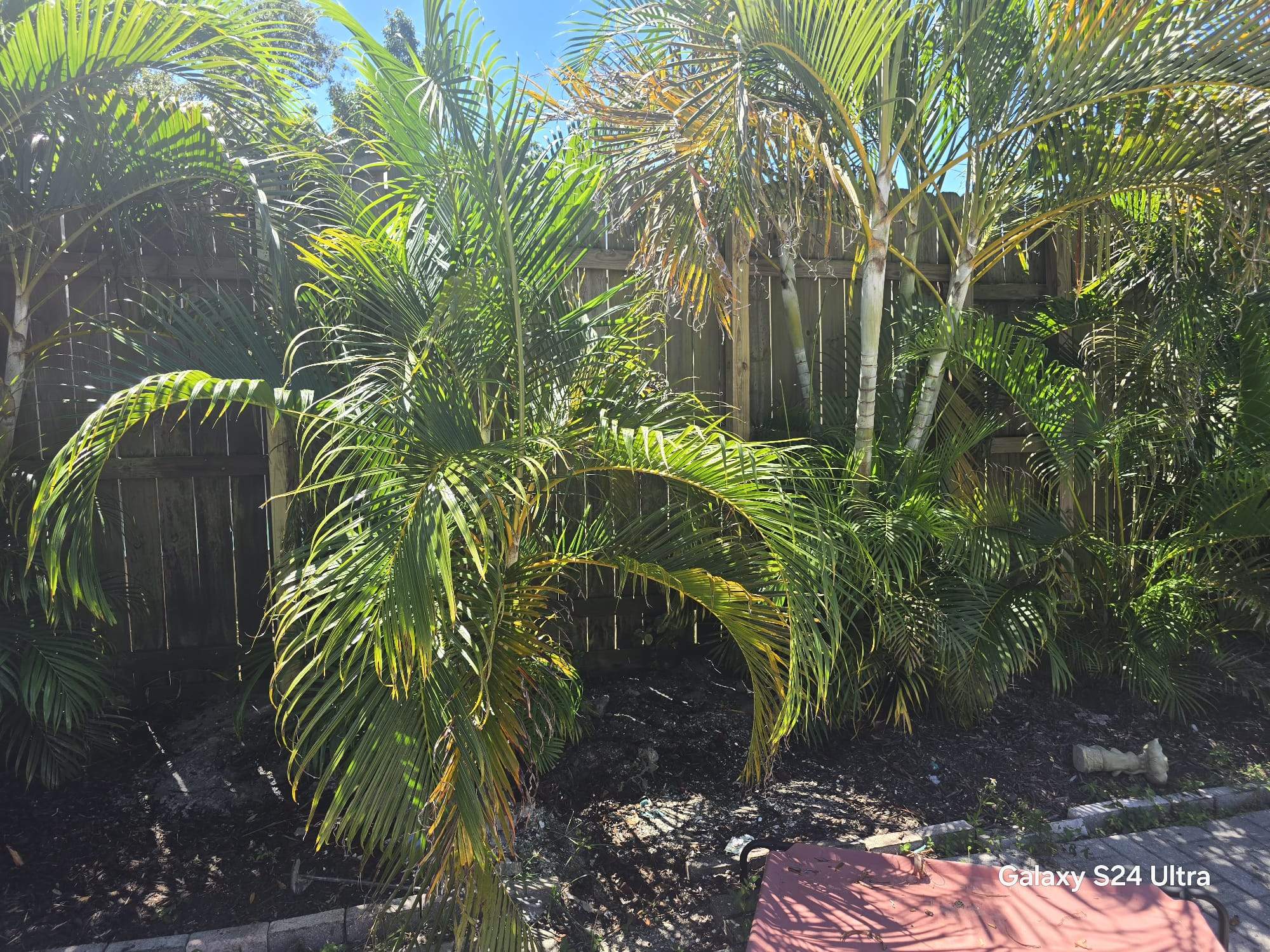 Residential Wood Privacy and Chain Link Fence Installation in Sarasota by True Fence LLC