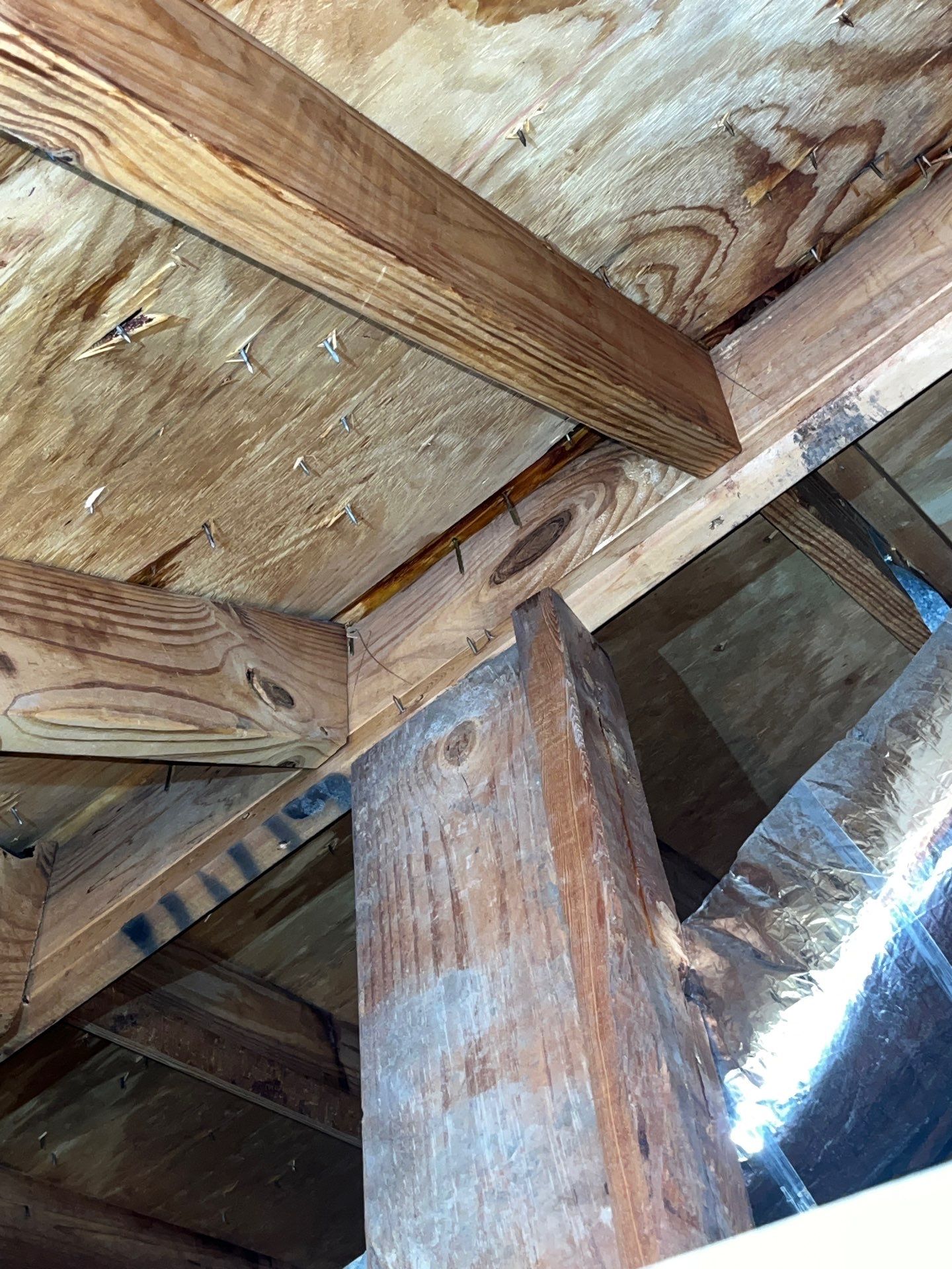 Hail Damage using Owen's Corning Duration (Lifetime) Shingles by Roof Repair Company