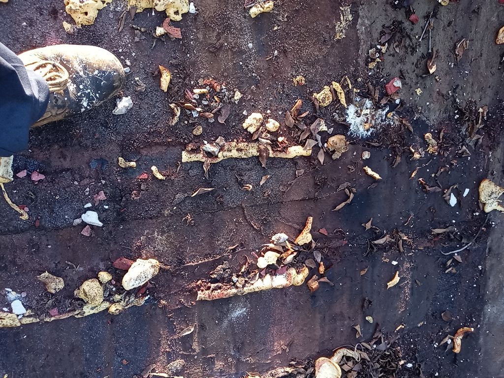 Tile Roof and Flat Roof Repairs in Palm Beach Gardens by Aastro Roofing